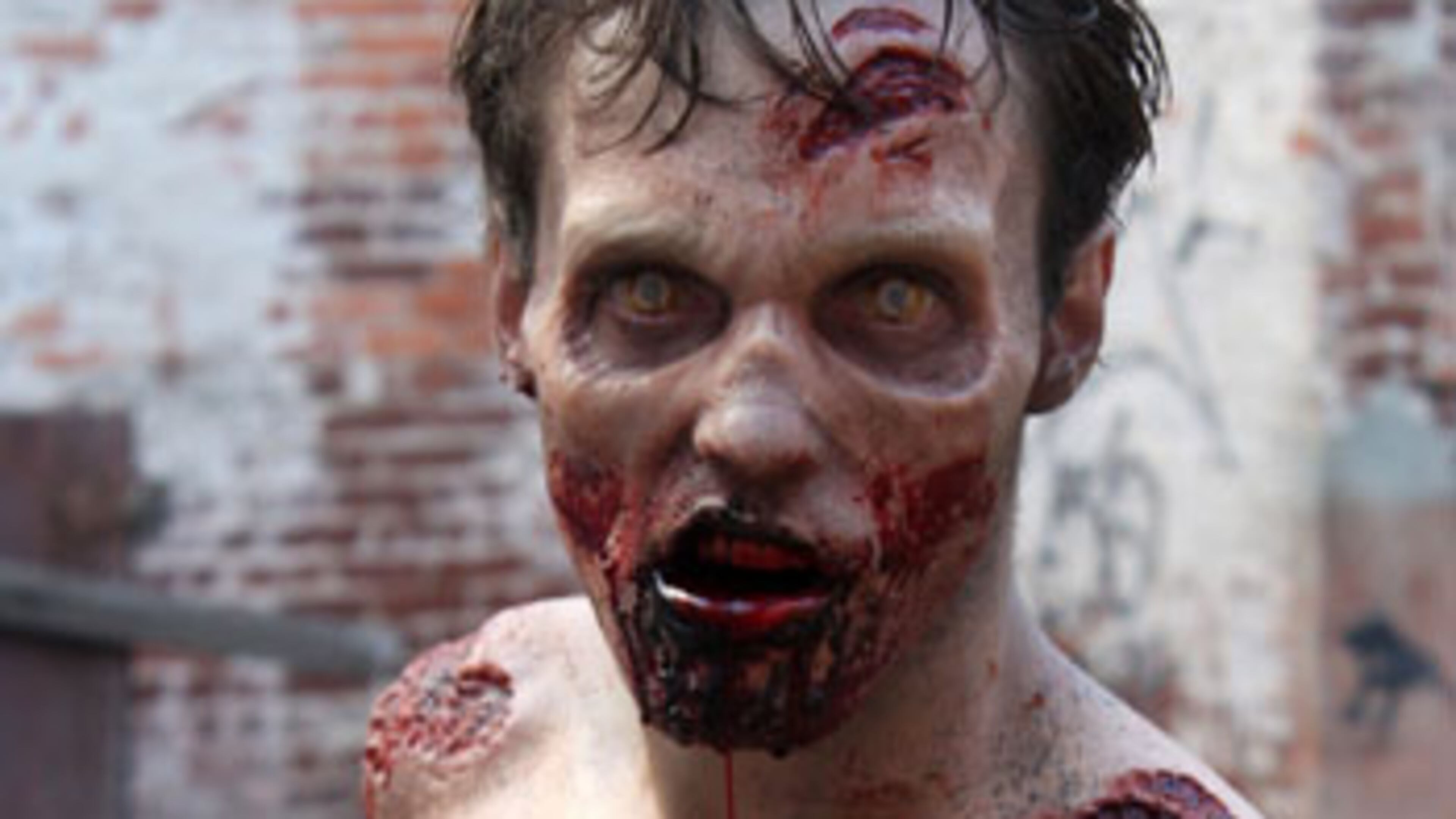 The Walking Dead - Season 2, Episode 1 - Photo Credit: Greg Nicotero/AMC - IMG_3238 The look of the "Walking Dead" spinoff is likely to be far more "beach"-like than the current one. CREDIT: AMC