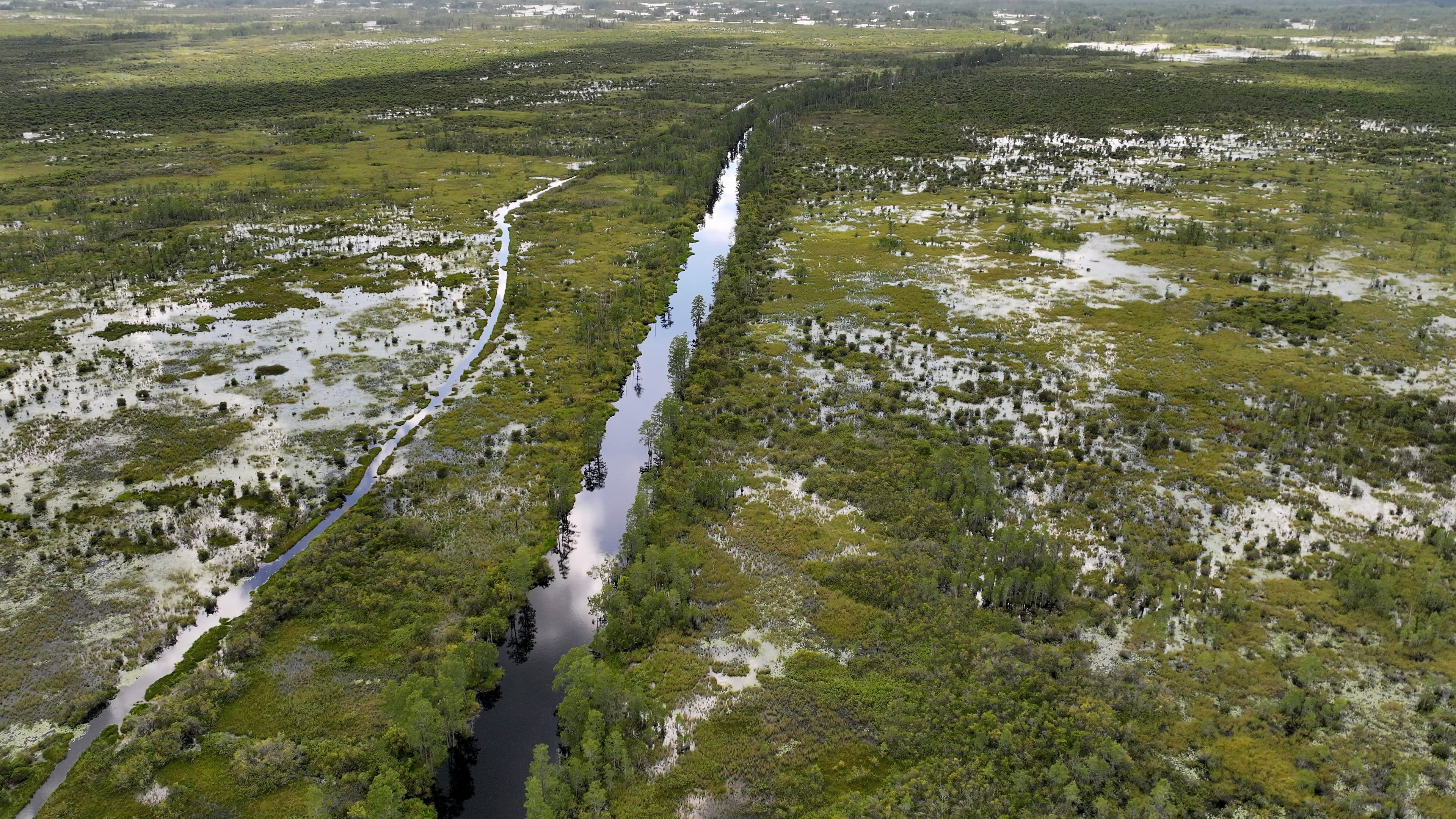 An aerial photo shows the Okefenokee Swamp on Tuesday, August 12, 2025. (Hyosub Shin/AJC)