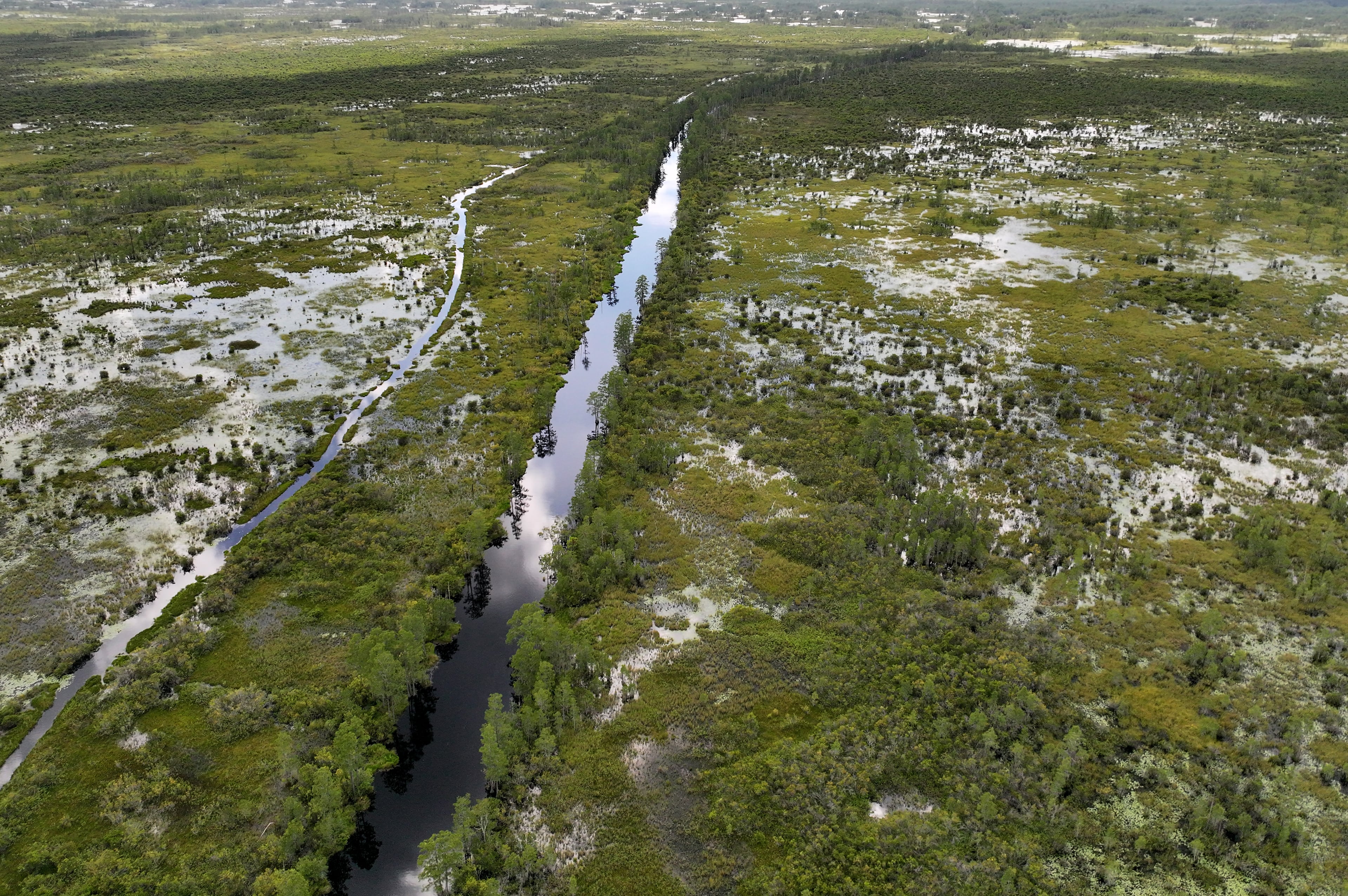 Okefenokee backers ‘cautiously optimistic’ ahead of historic World Heritage vote