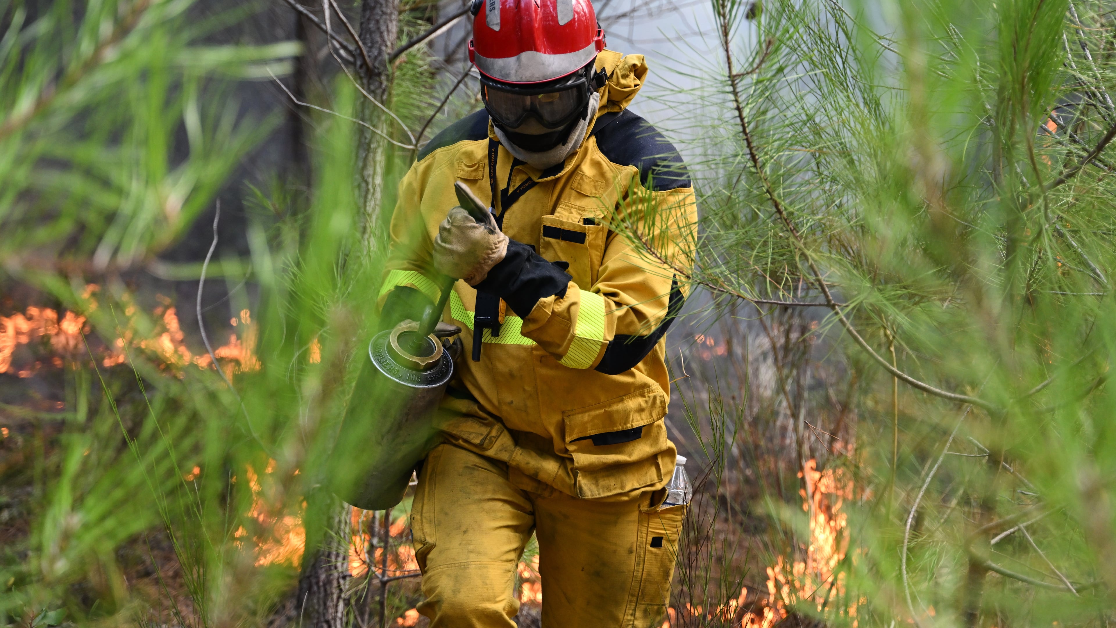 A firefighter creates a controlled burn to contain a fire area near Lege-Cap-Ferret, during wildfires in southwestern France, Thursday, July 30, 2026. (AP Photo/Emma Da Silva)