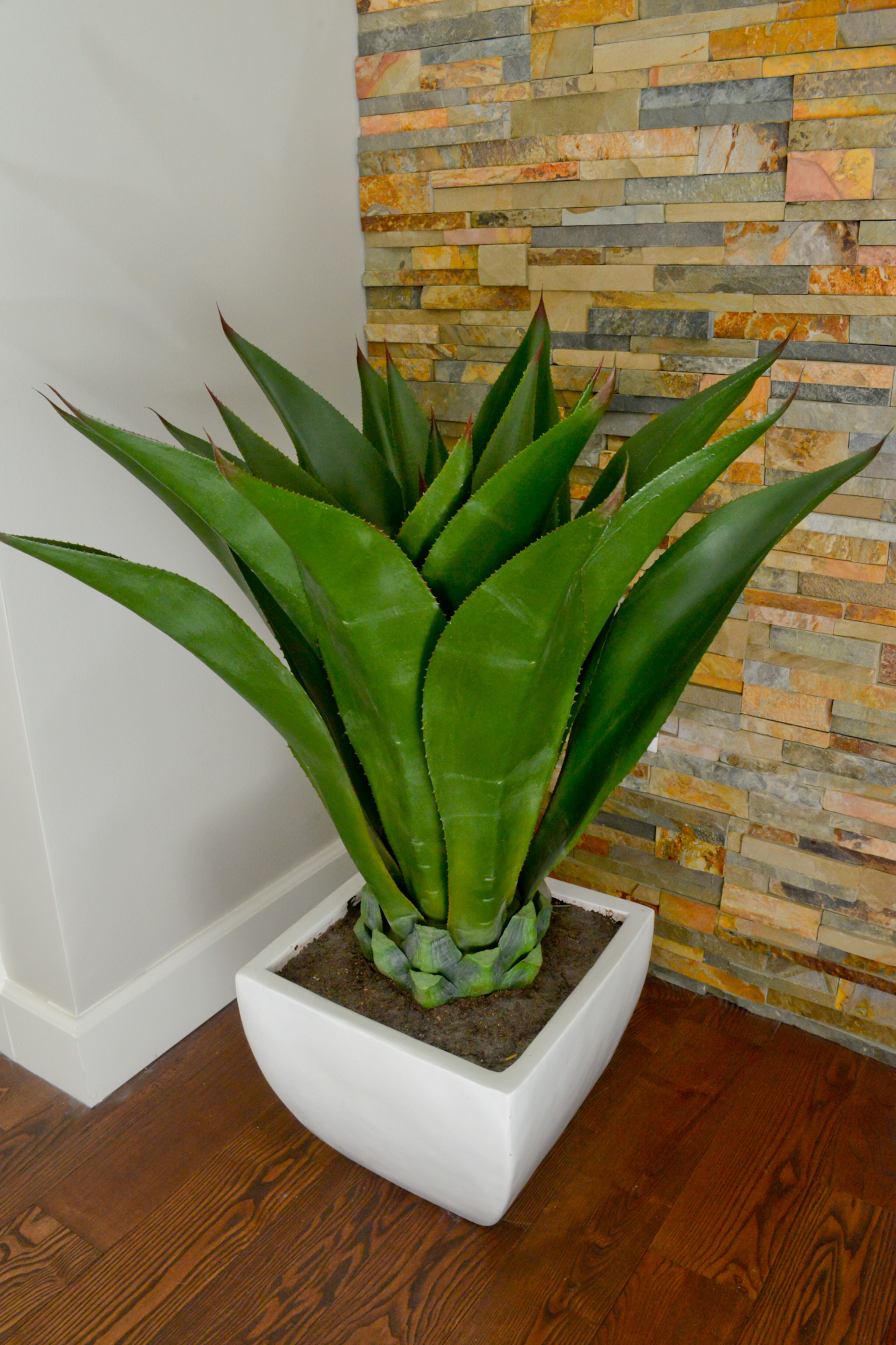 Johnson hired a tile contractor to create a stone wall in the foyer of his Atlanta condominium. Together with the potted palm, the wall enlivens the once stark foyer with color and texture.