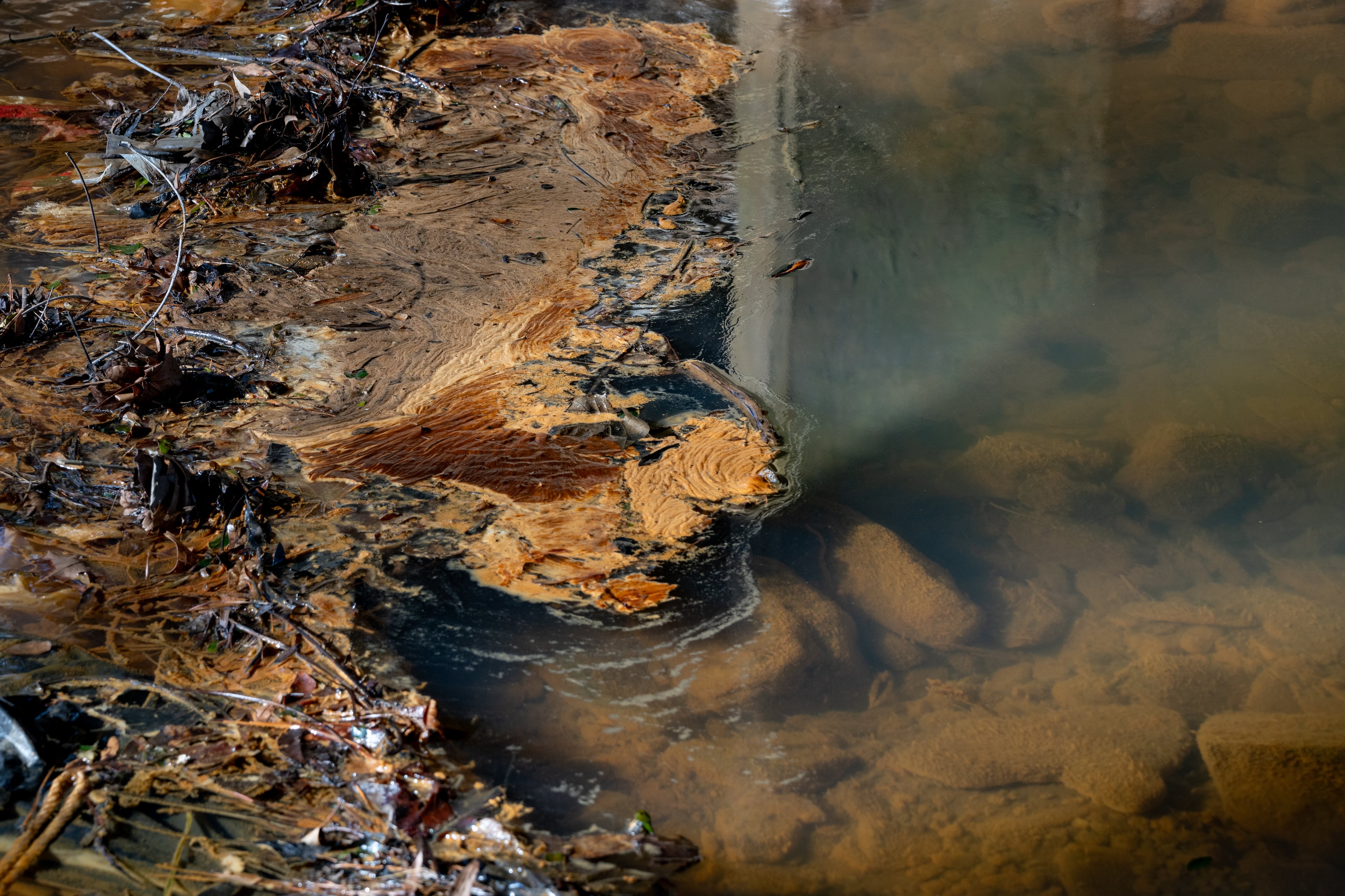 Oil caught in debris pools following a fuel spill into the Flint River from Hartsfield-Jackson International Airport. Tuesday, Feb 03, 2026. (Ben Hendren for the AJC)