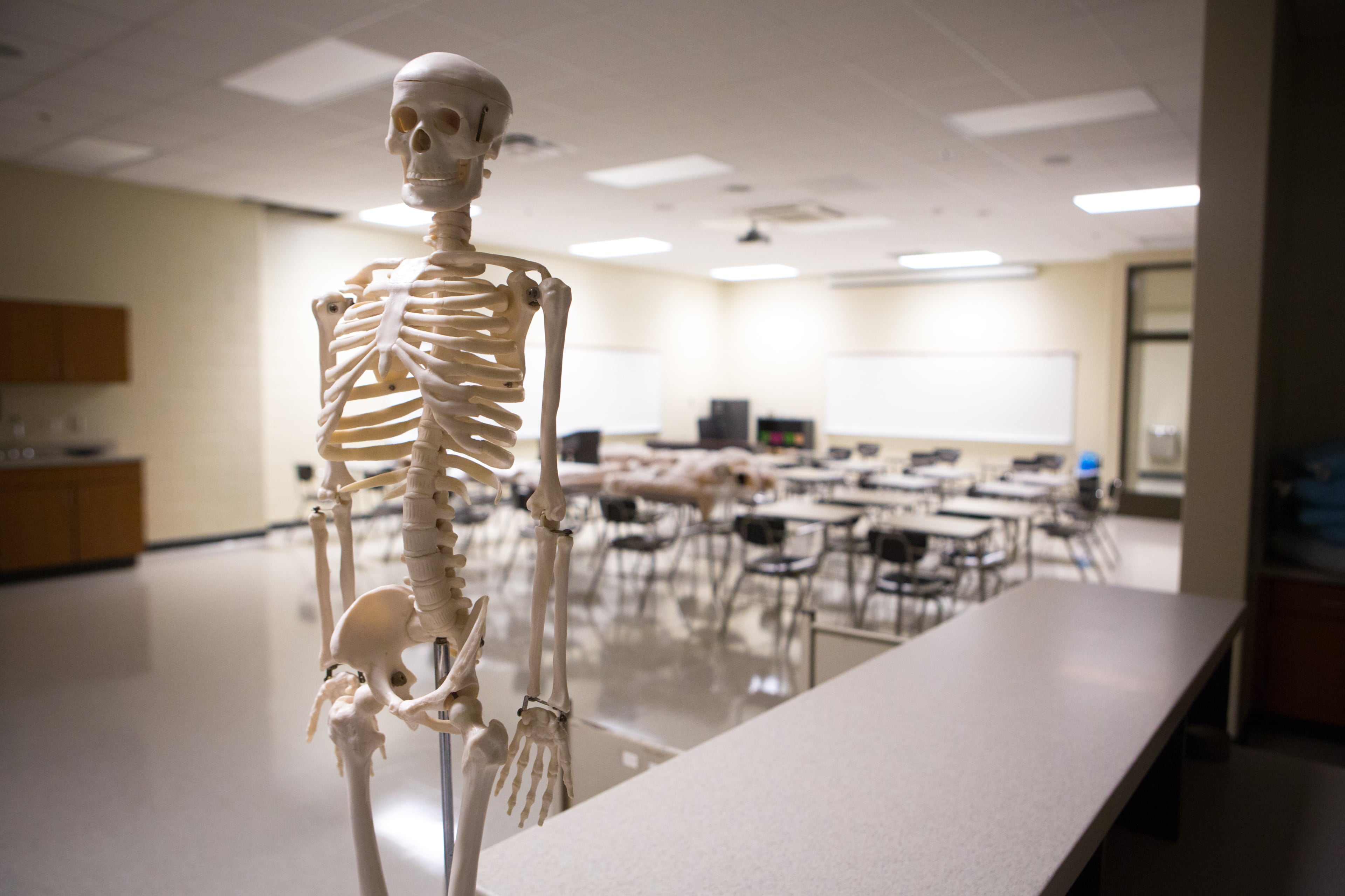 Photos from a tour of the new Buford High School in Buford, Ga., on Thursday, July 18, 2019. Classes will begin at the, 214,000 square foot school on August 7. (Casey Sykes for The Atlanta Journal-Constitution)