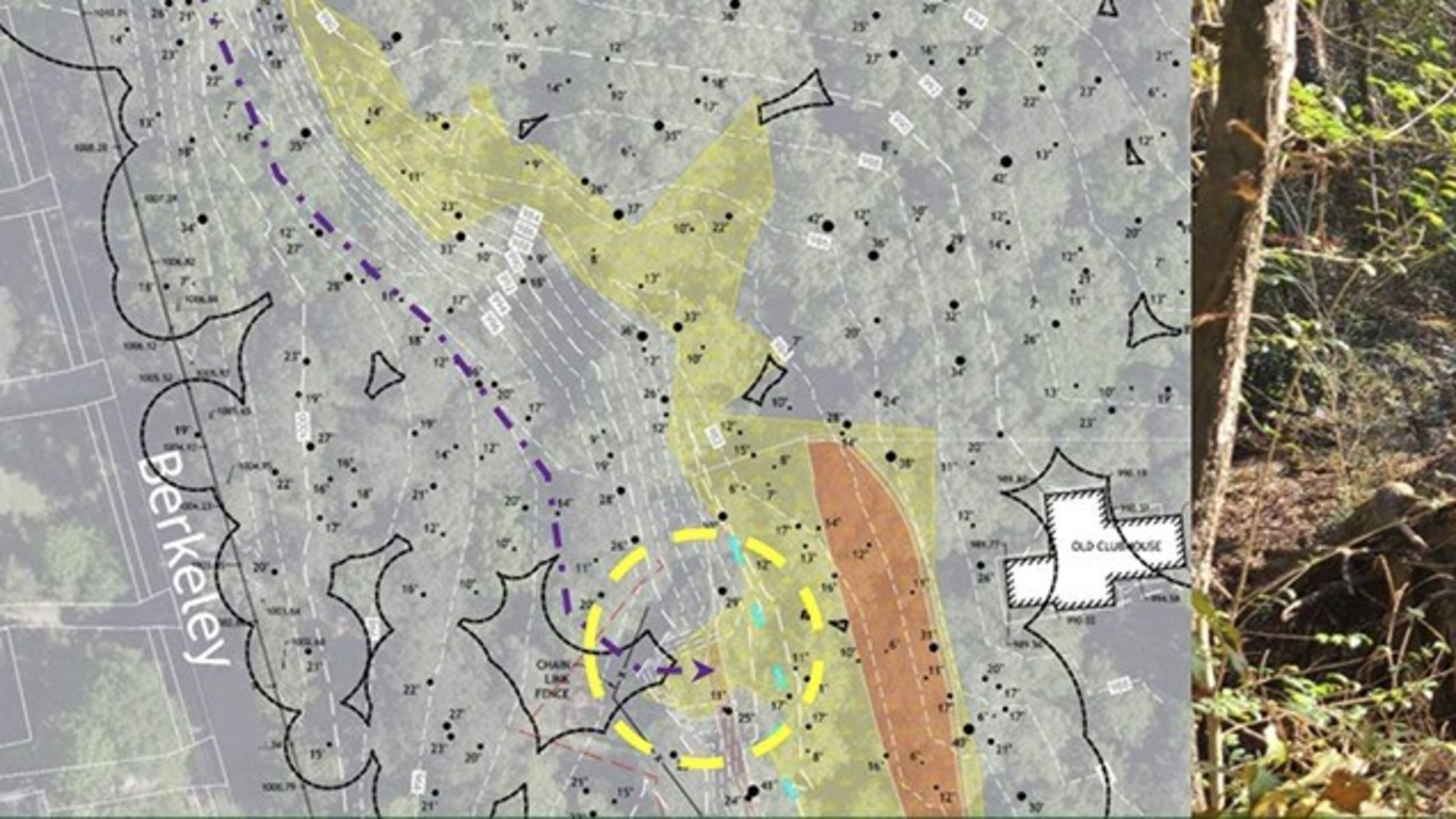 A new slate nature trail for the disabled and three new rain gardens will be a part of this second phase of the North Woods Project in Avondale Estates. (Courtesy of Avondale Estates)