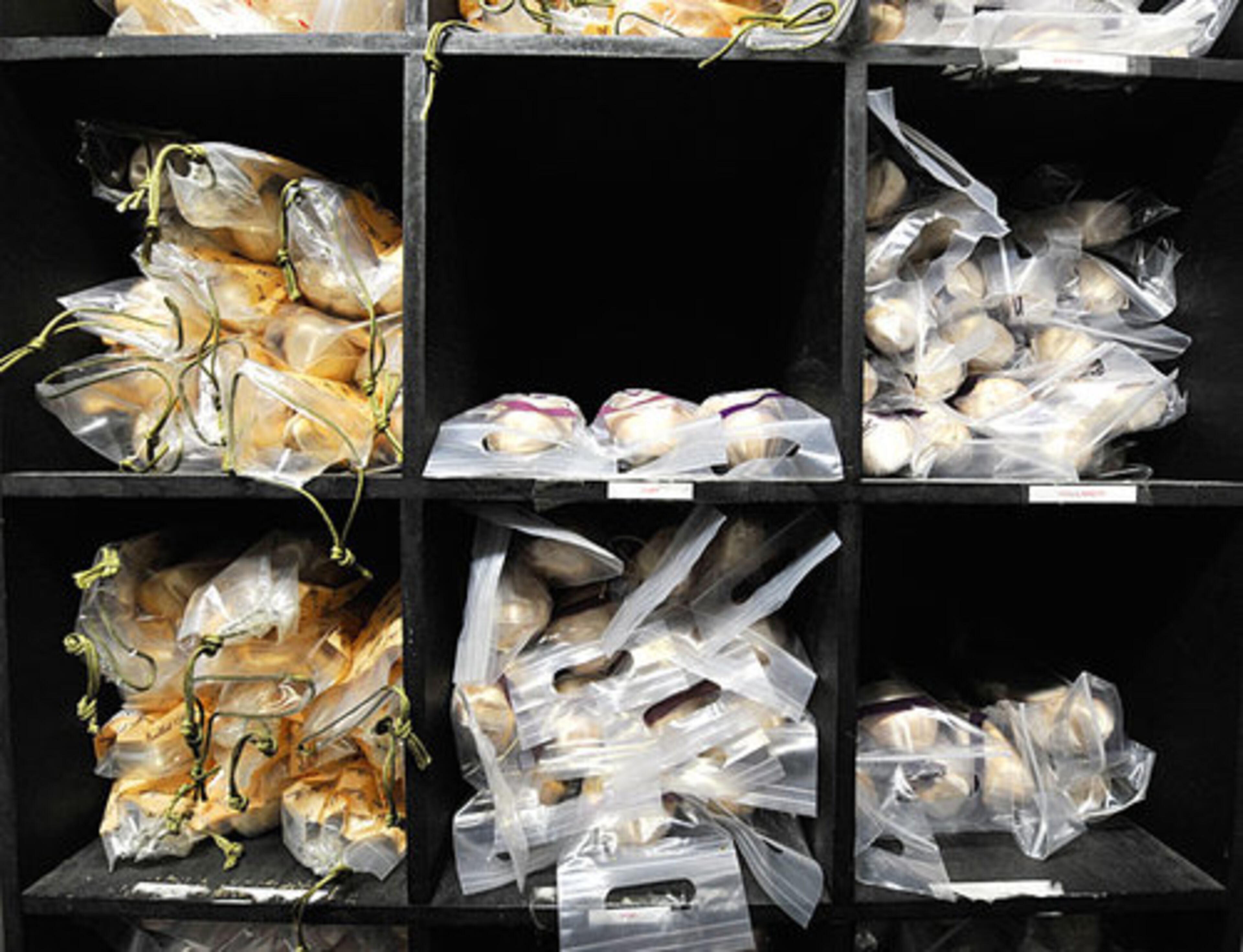 Pointe shoes are stocked in cubbies for each dancer in the shoe room at the Atlanta Ballet studios. Most dancers go through at least a pair a week, if not a performance.