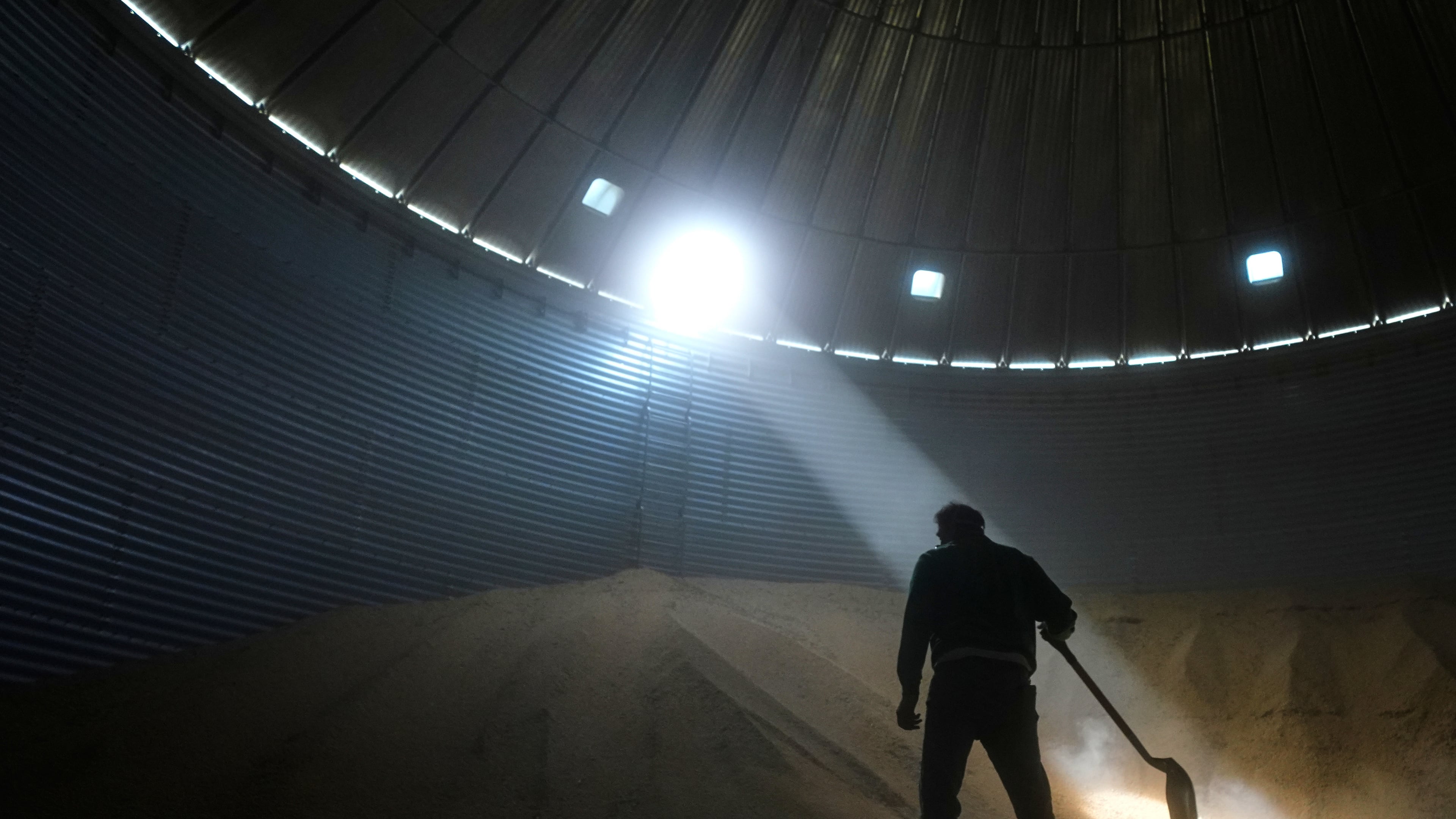 Doug Bartek shovels soybeans in a bin on his farm near Wahoo, Neb., on Monday, April 6, 2026. (AP Photo/Charlie Riedel)