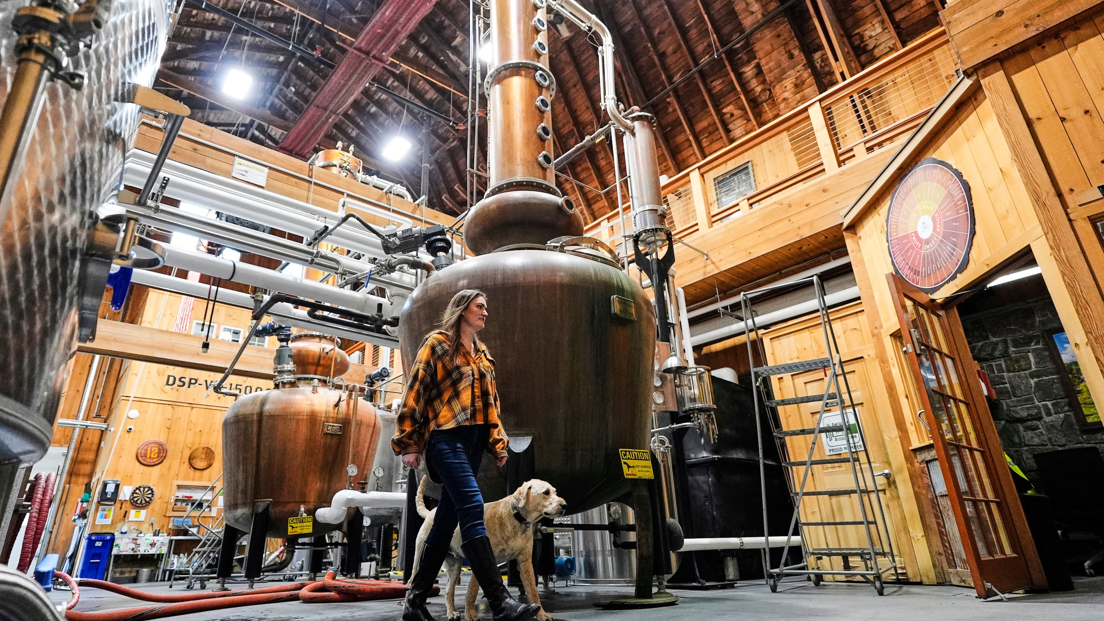 Meghan Ireland and her dog, Murphy, walk by one of the 750-gallon pot and column whiskey stills at the WhistlePig distillery Monday, April 6, 2026, in Shoreham, Vermont. (AP Photo/Robert F. Bukaty)