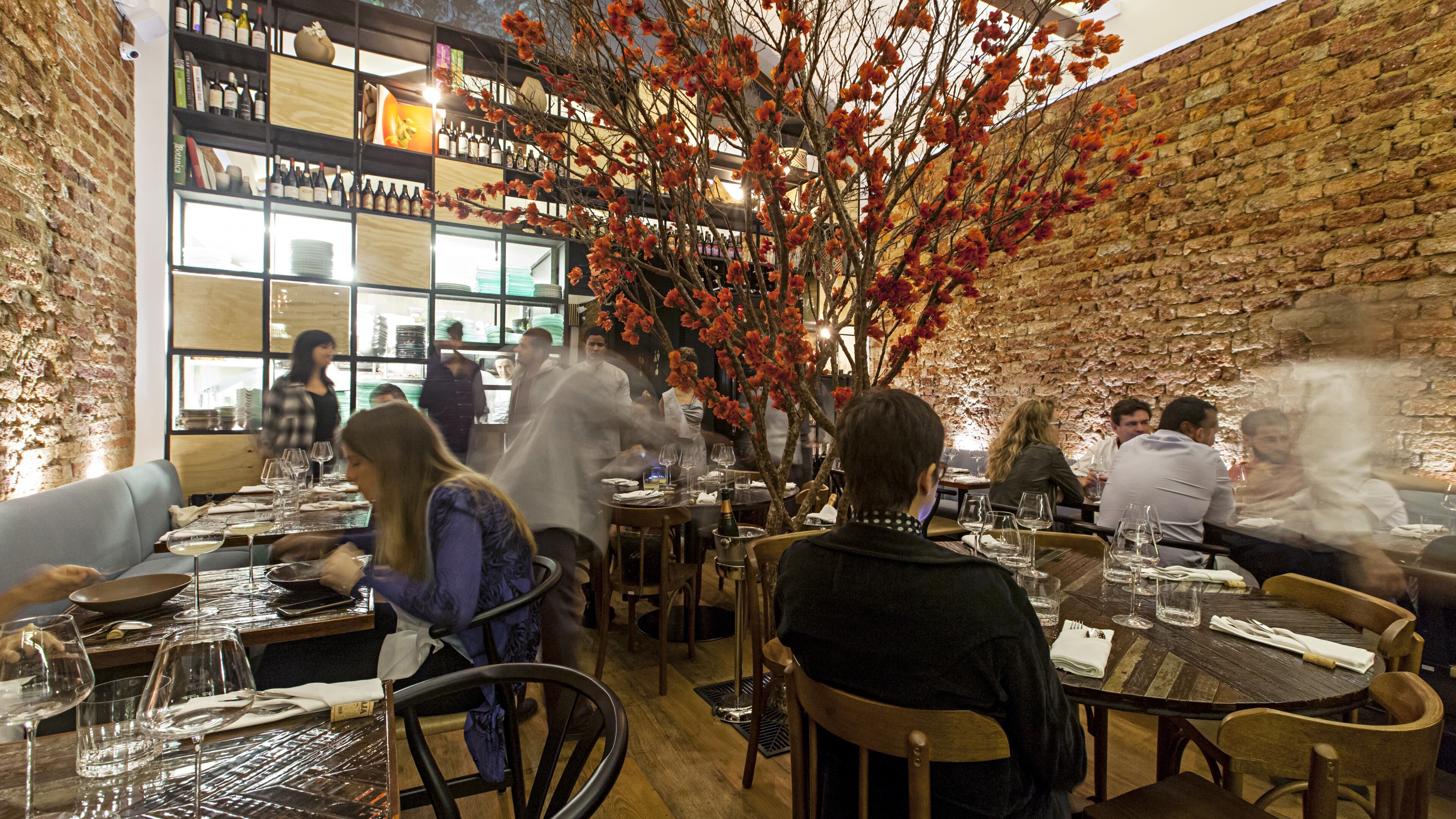 An undated handout photo inside the new Ro - Raw & Wine, in Jardim Botanico, which offers raw food tasting menus, in Rio de Janeiro. If you are going to Rio for the Olympics, there are new museums, restaurants and favela guides you may want to find time to check out. (Rodrigo Azevedo via The New York Times)