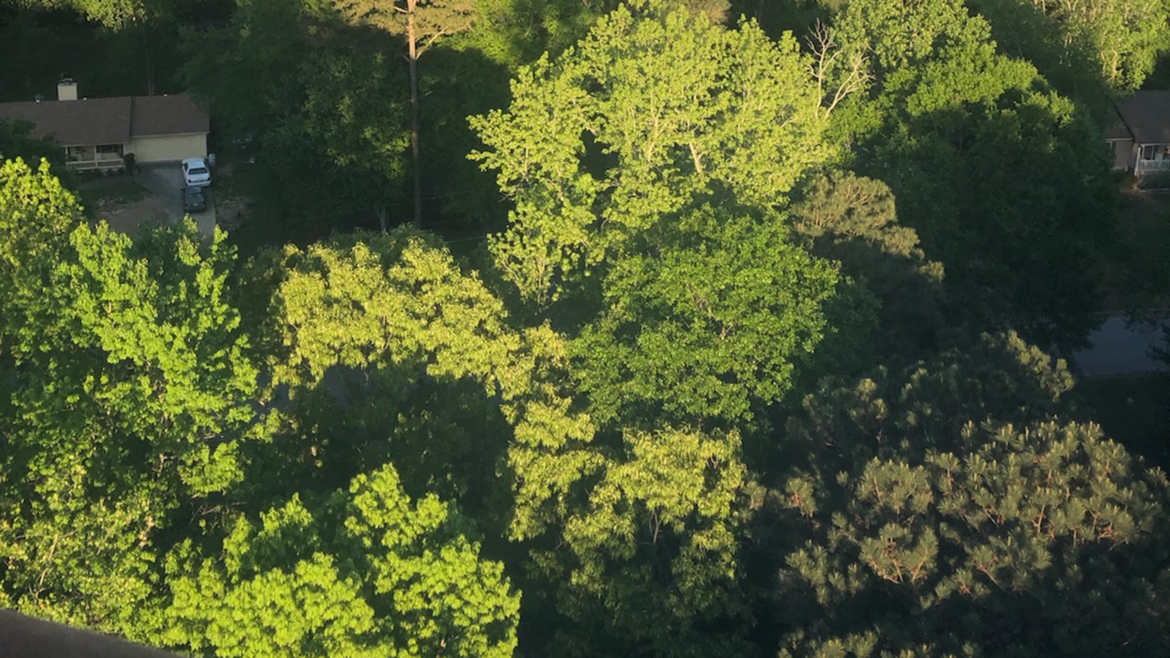 Dianne Hill submitted this photo shot by her son, Kannon Reed Hill of Stockbridge. "He and some friends went hot air ballooning and captured this picture at EXACTLY the right time. It portrays hope during these unsettling times," she wrote.