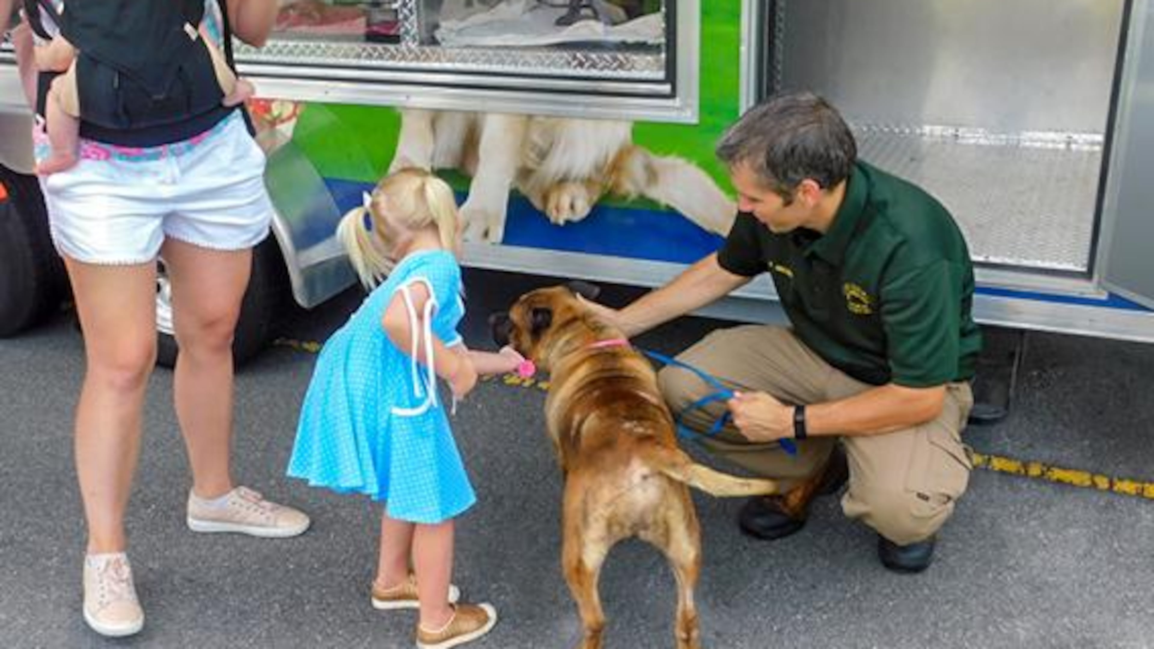 Until Dec. 18 at Cobb Library locations, a variety of donations are requested for pets at the Cobb County Animal Services. (Courtesy of Cobb County)
