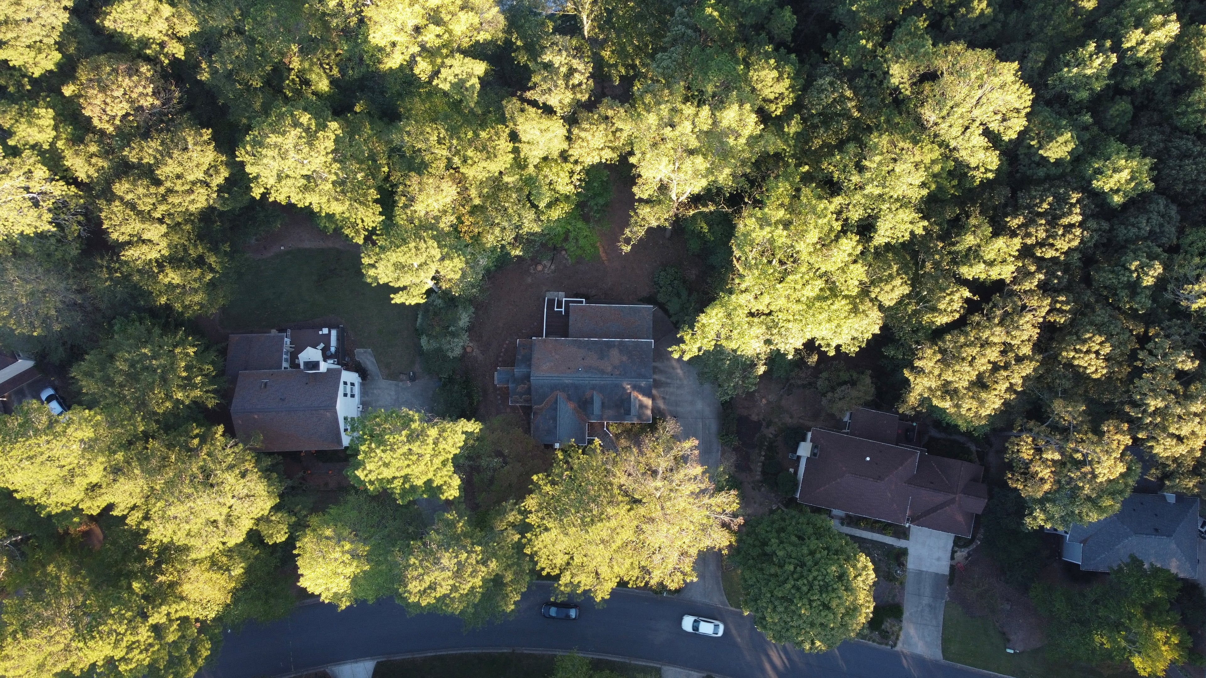 A homeowner in Cobb County had to remove trees from his property (center) because his homeowners insurance had been canceled after the insurance company said there were too many trees nearby. (Courtesy of Ross Cavitt 2024)