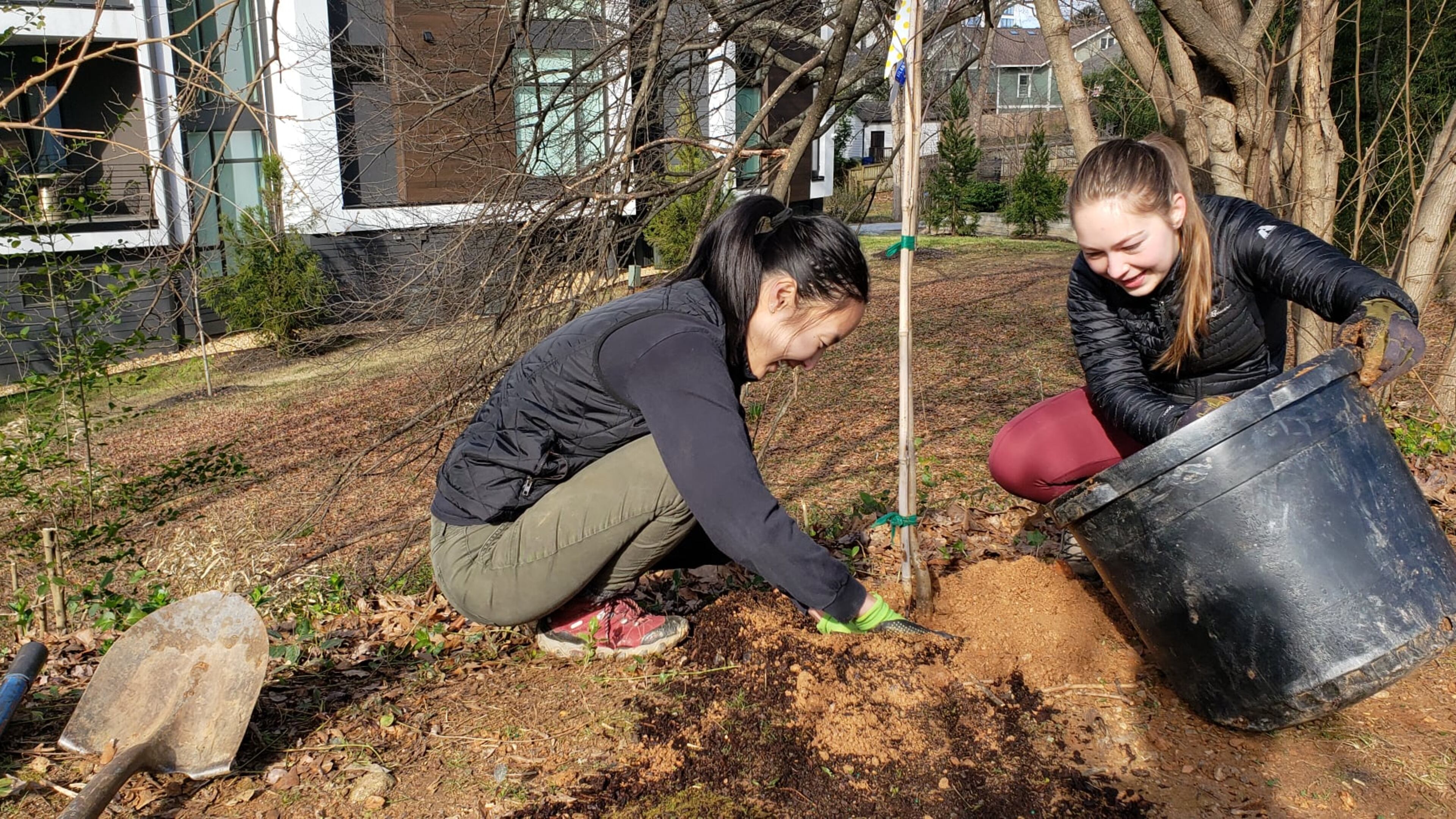John Lewis Flowering Forest 2022 project Saturday, Feb. 26.
