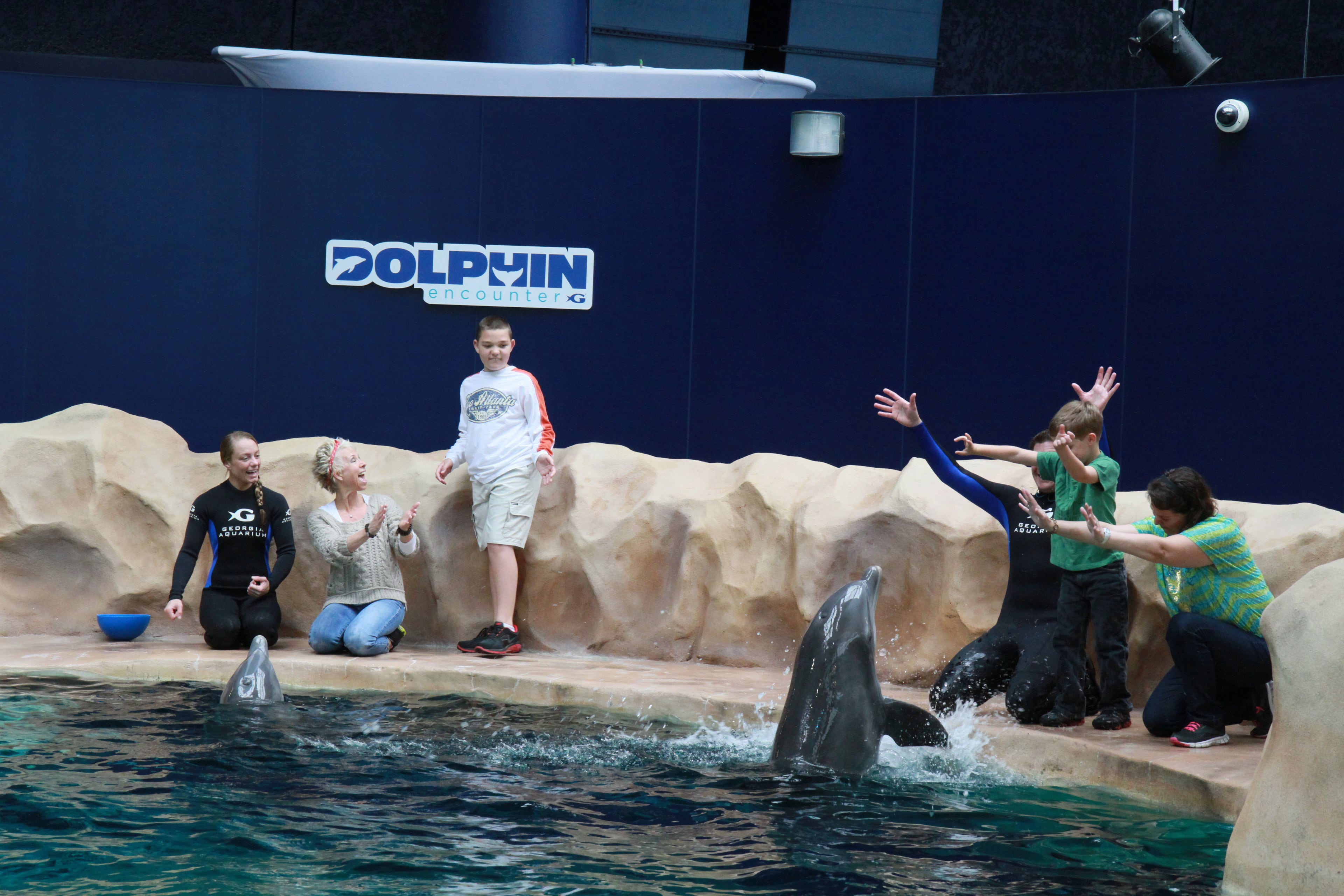 Here are some more photos from the Dolphin Experience at the Georgia Aquarium.