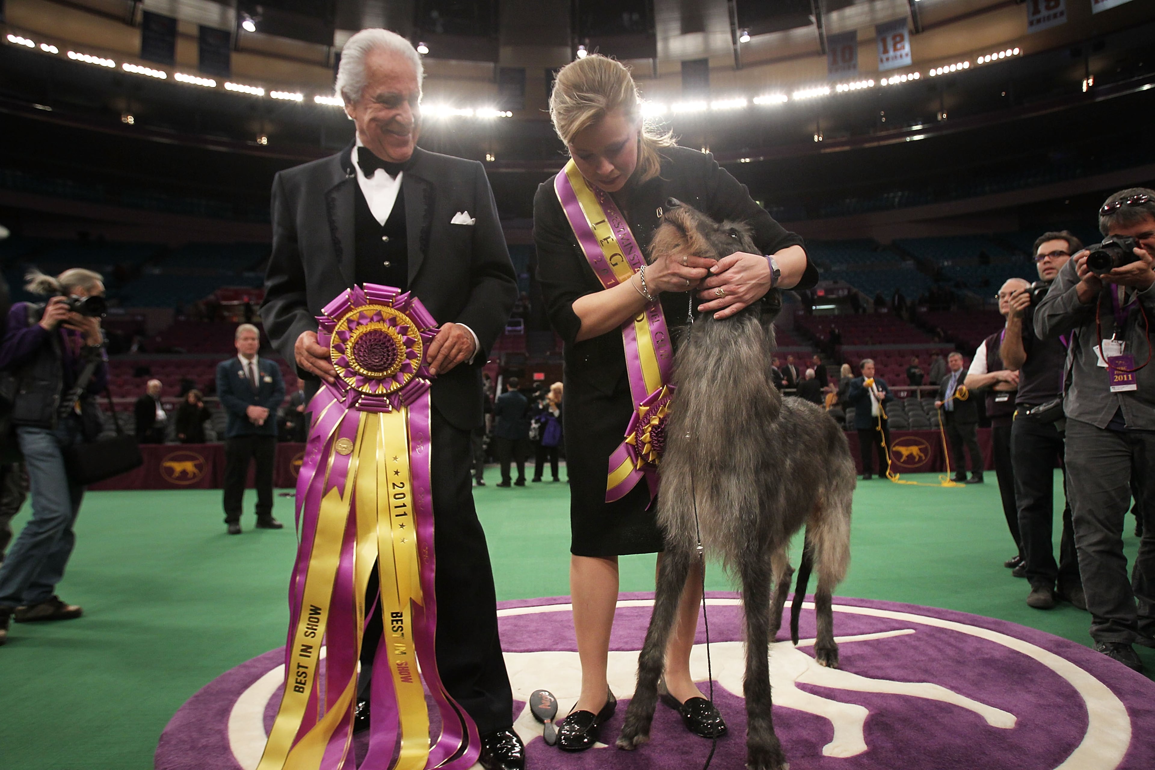 NEW YORK, NY - FEBRUARY 15: A Scottish Deerhound named Foxcliffe Hickory Wind poses with her handler Angela Lloyd and show judge Paolo Dondina (L) after winning Best in Show at the Westminster Kennel Club Dog Show on February 15, 2011 in New York City. The show, one of the most prestigious dog shows in the world, is being held at Madison Square Garden in New York City on February 14-15. Over 2,000 dogs competed in this year's show which also included six new breeds to the competition. (Photo by Spencer Platt/Getty Images)