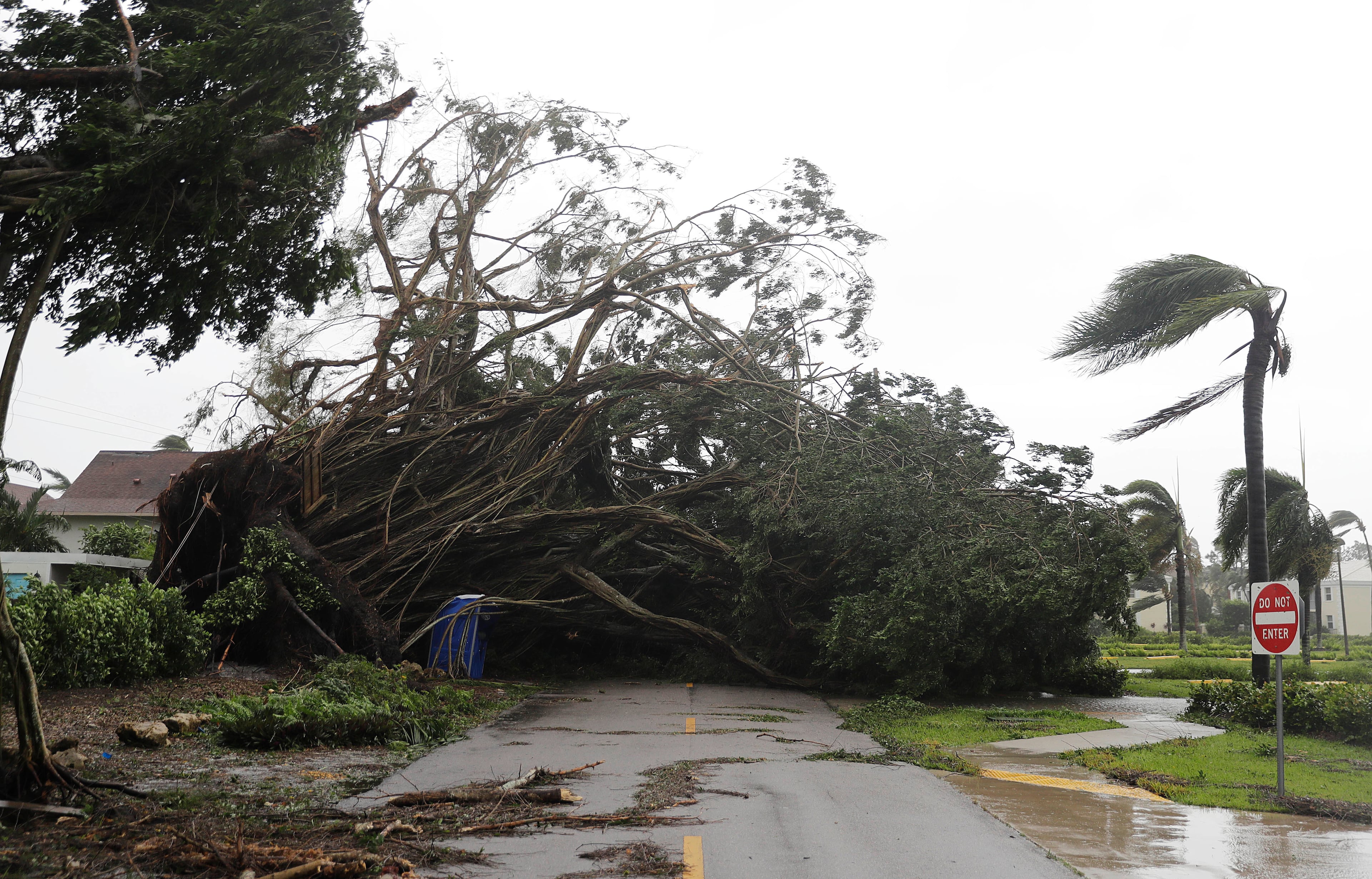 A fallen tree blocks a street as Hurricane Irma passes through Naples, Fla., Sunday, Sept. 10, 2017. (AP Photo/David Goldman)