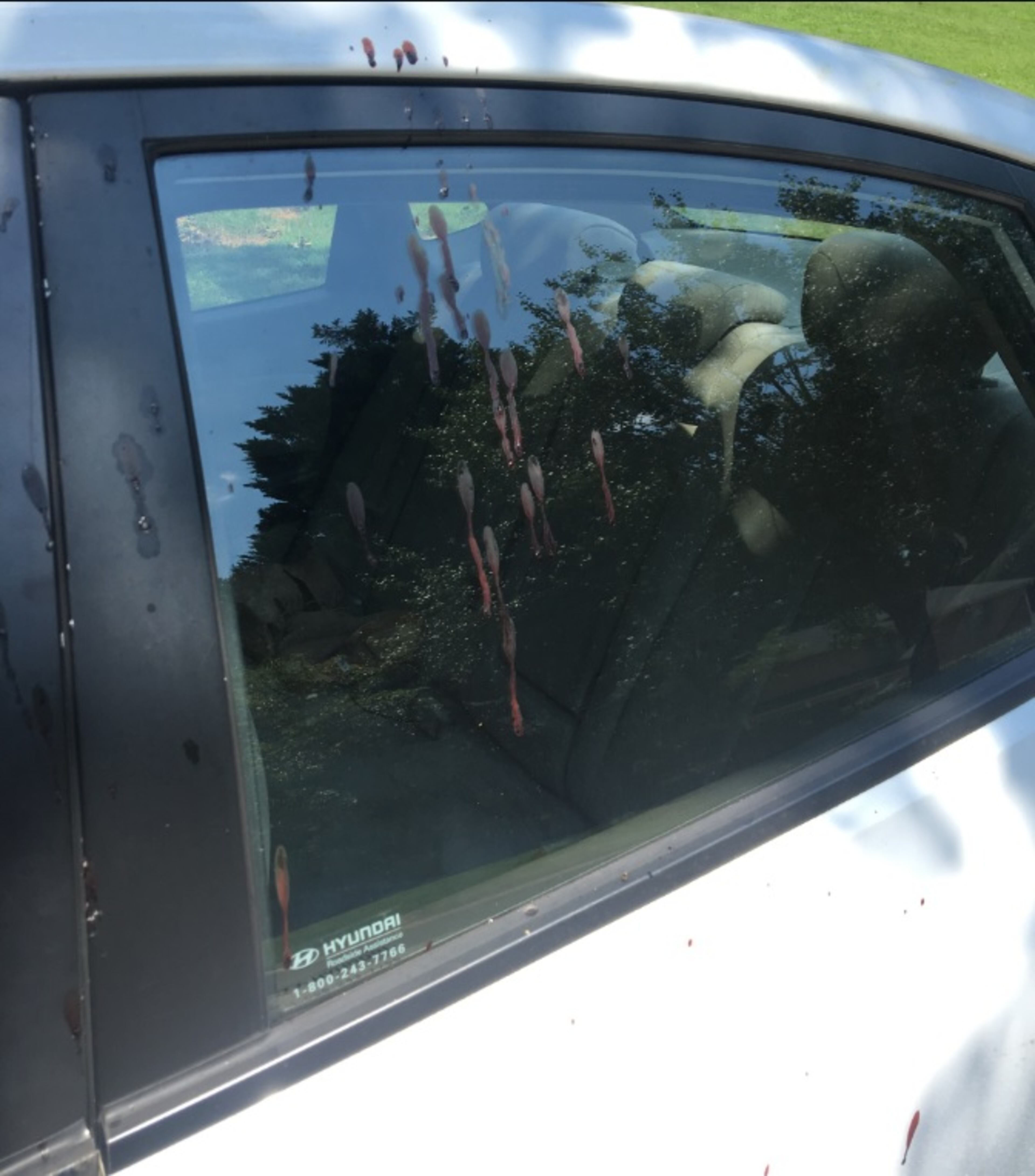 A neighbor's car was spattered with blood after a man and a teenage boy were shot on Highpoint Court in Snellville. The car's owner said she didn't know how it was involved.