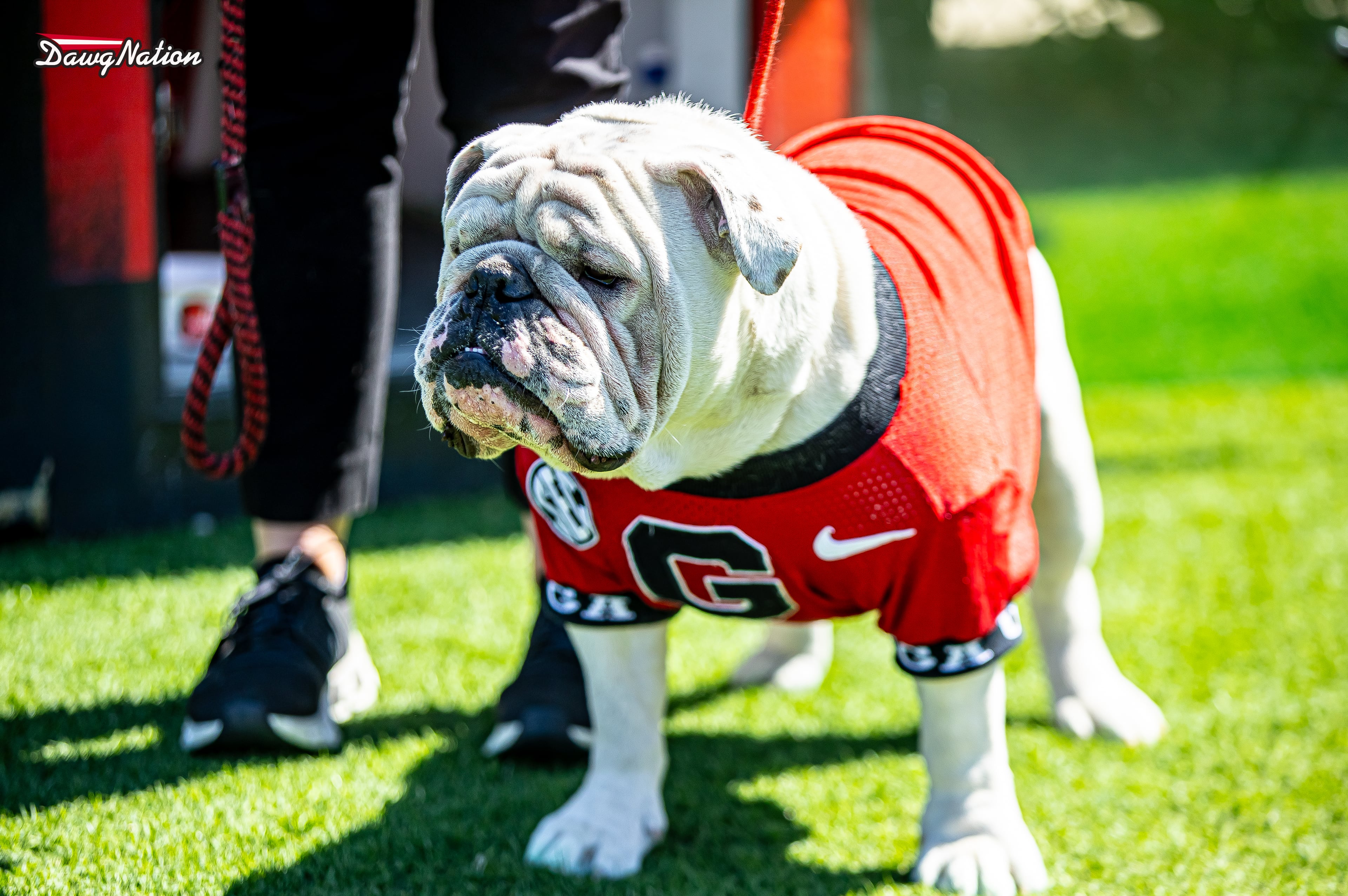 UGA XI G-Day by Jeff Sentell 0401225b