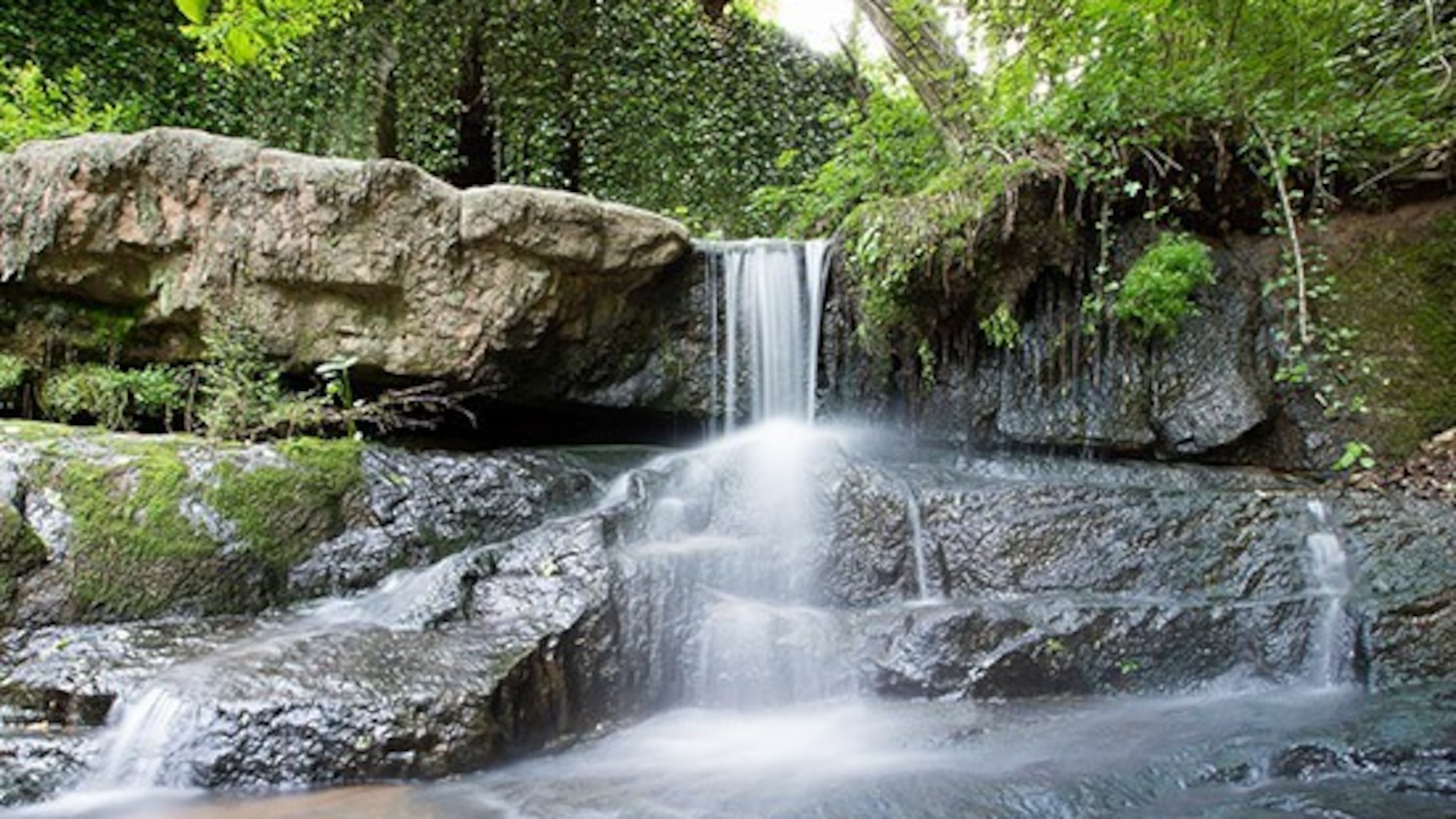 One of the waterfalls in Cascade Springs Nature Preserve runs below a busy bridge.