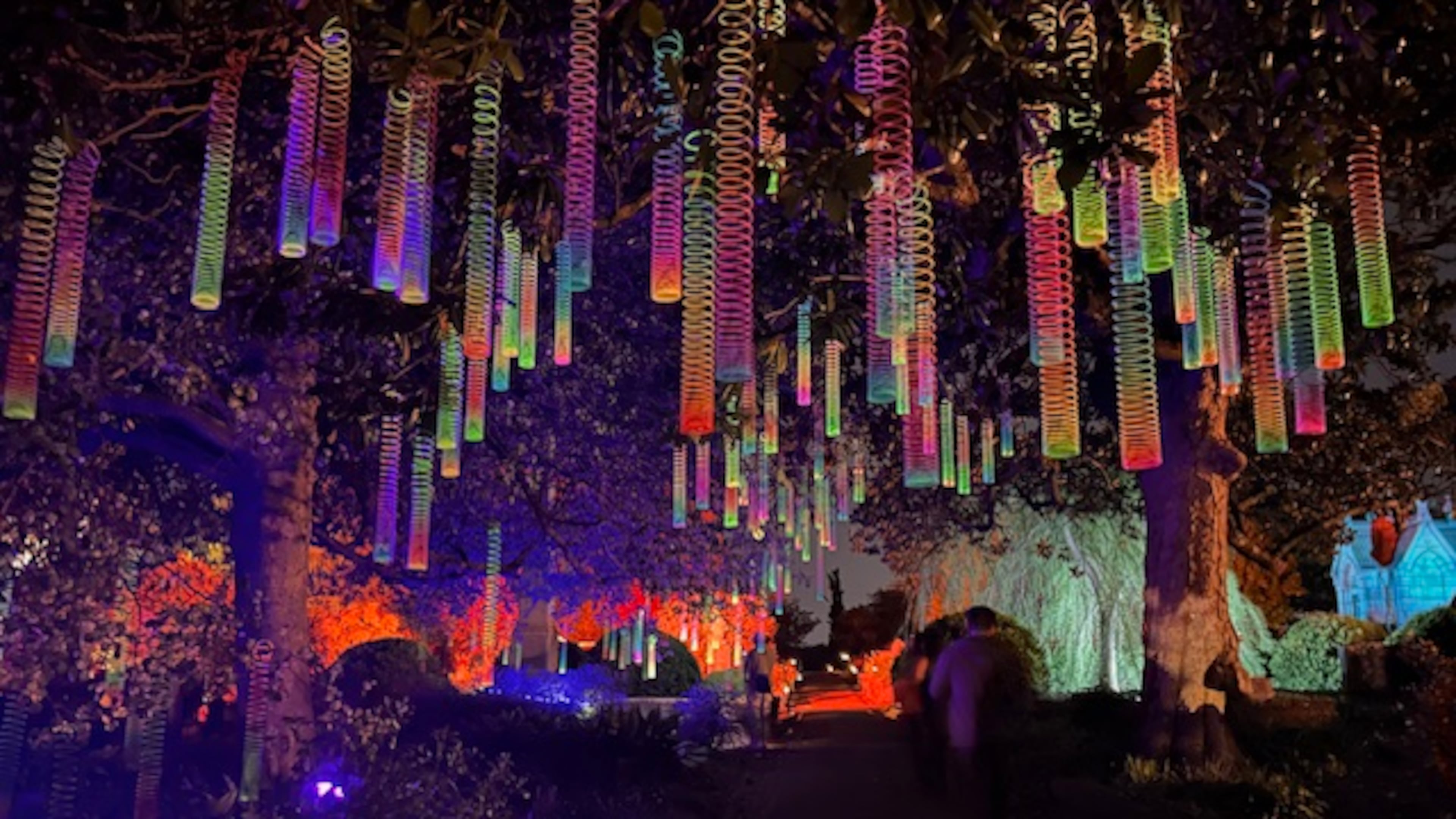 Iluminated rainbow Slinkys hanging from one of Oakland Cemetery's mature trees is a fanciful touch, adding a different dimension to a nighttime art tour of the Victorian burial ground,