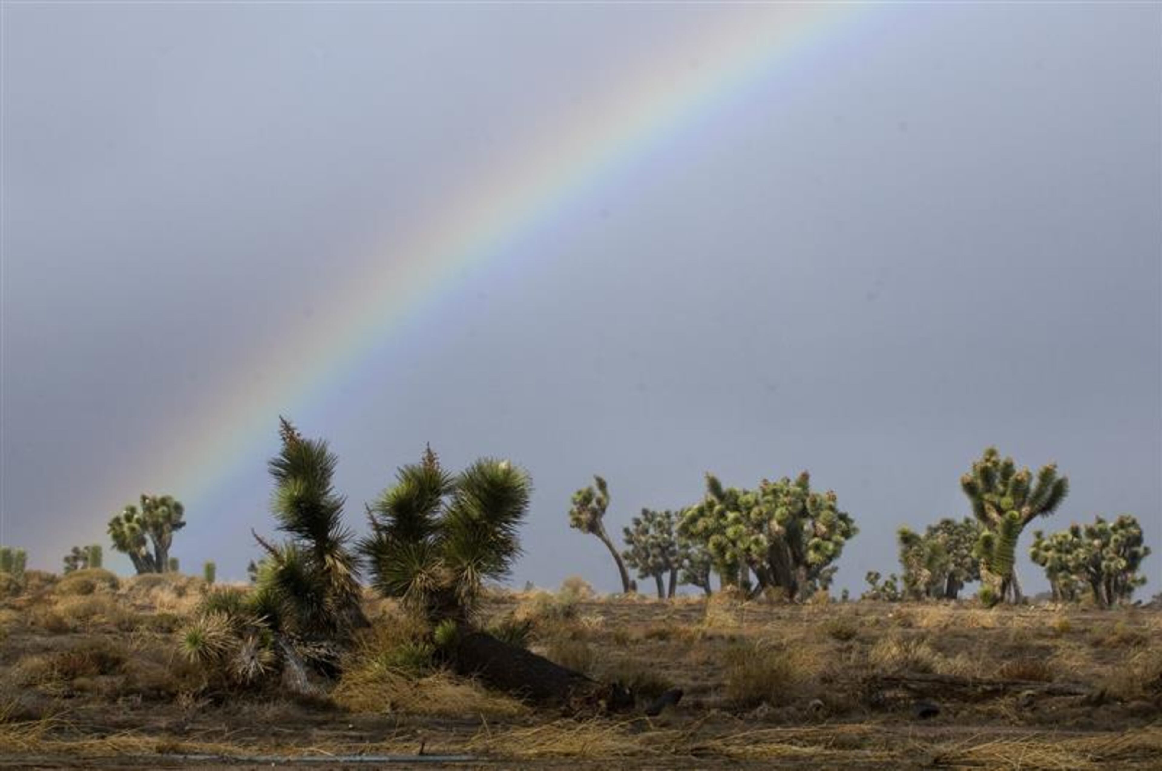 A a driver navigates her car through puddles along a dirt section of Muscatel Street in Hesperia, Calif., Friday morning, Feb. 28, 2014, as a storm brought high winds, rain and rainbows the area. (AP Photo/The Victor Valley Daily Press, James Quigg)