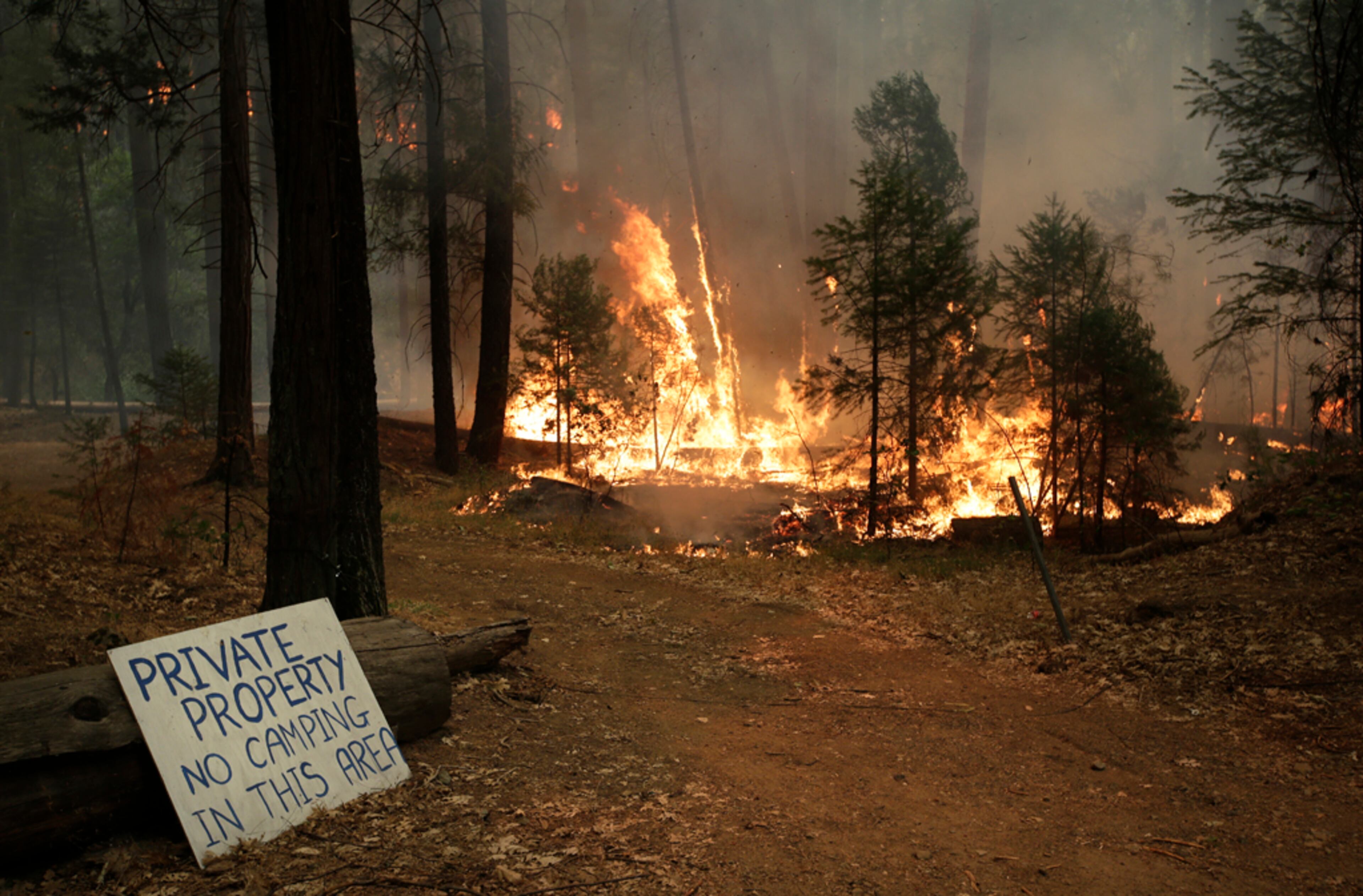 Trees burn as firefighters continue to battle the Rim Fire near Yosemite National Park, Calif., on Sunday, Aug. 25, 2013. With winds gusting to 50 mph on Sierra mountain ridges and flames jumping from treetop to treetop, hundreds of firefighters have been deployed to protect this and other communities in the path of the Rim Fire raging north of Yosemite National Park. (AP Photo/Jae C. Hong)