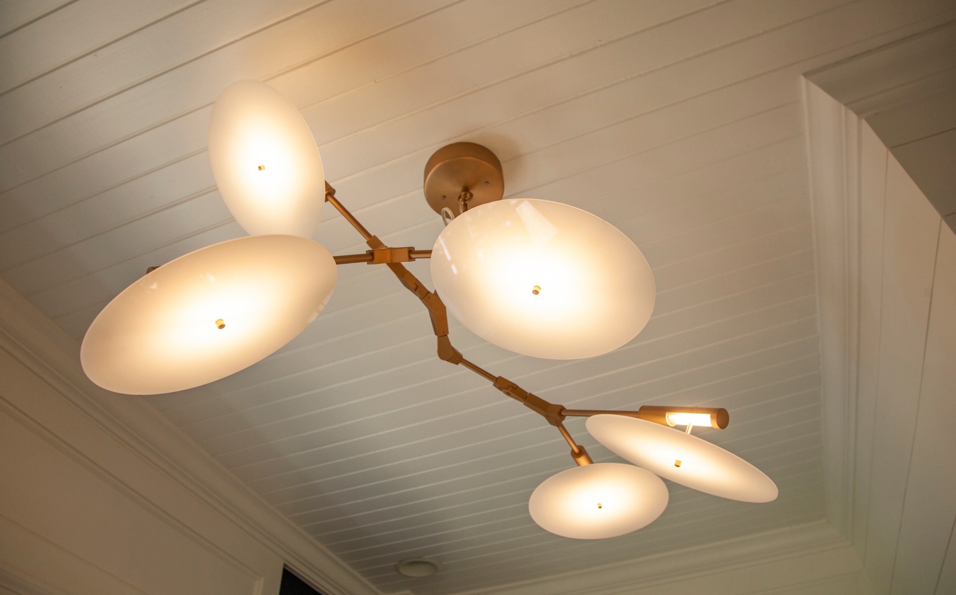 The modern halo chandelier by France & Son branches out from a beadboard ceiling.