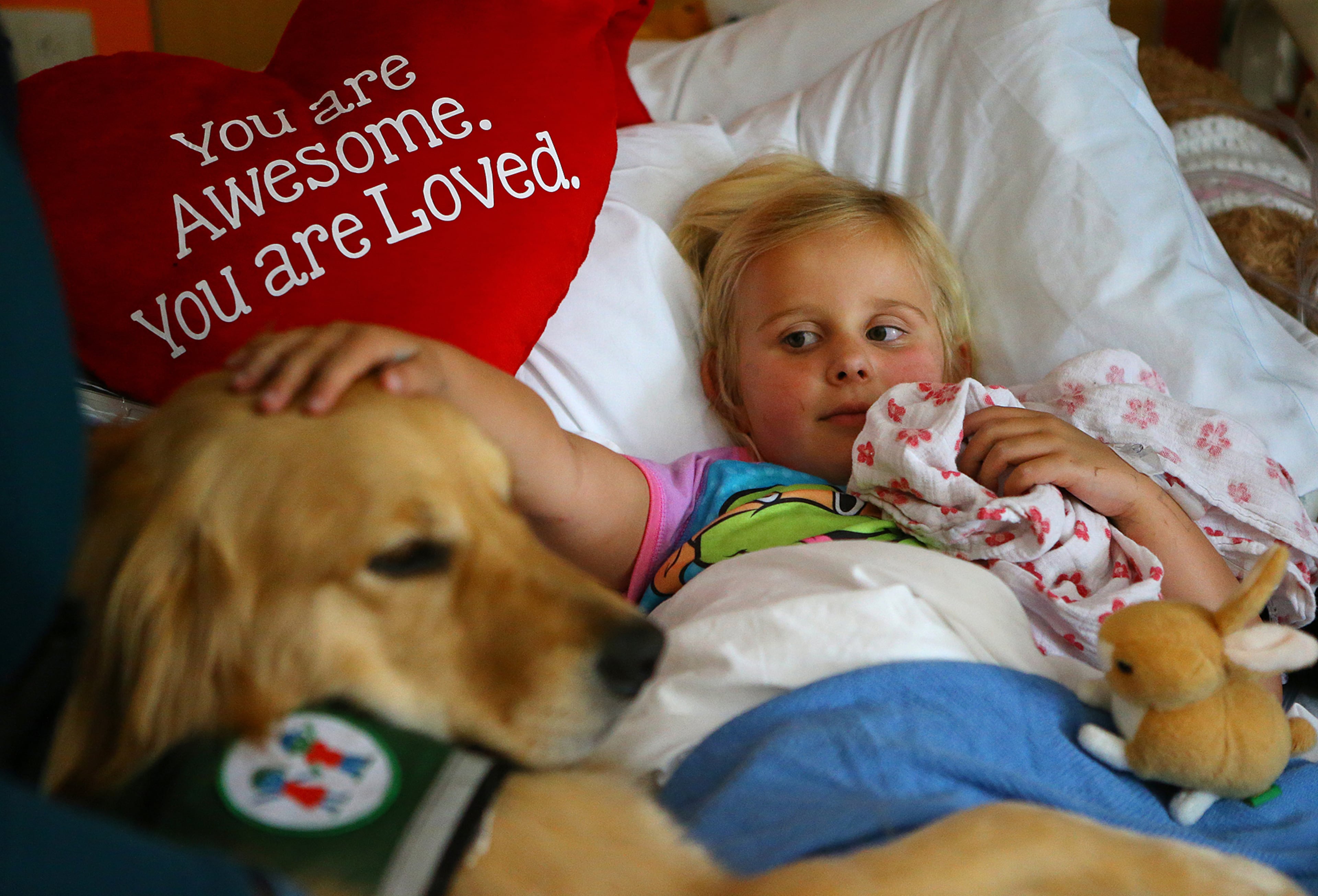 In this 2015 file photo, Emma Anderson, who is 5 at the time, is comforted by Uno, a therapy dog at the Sibley Heart Center at Egleston. Curtis Compton / ccompton@ajc.com