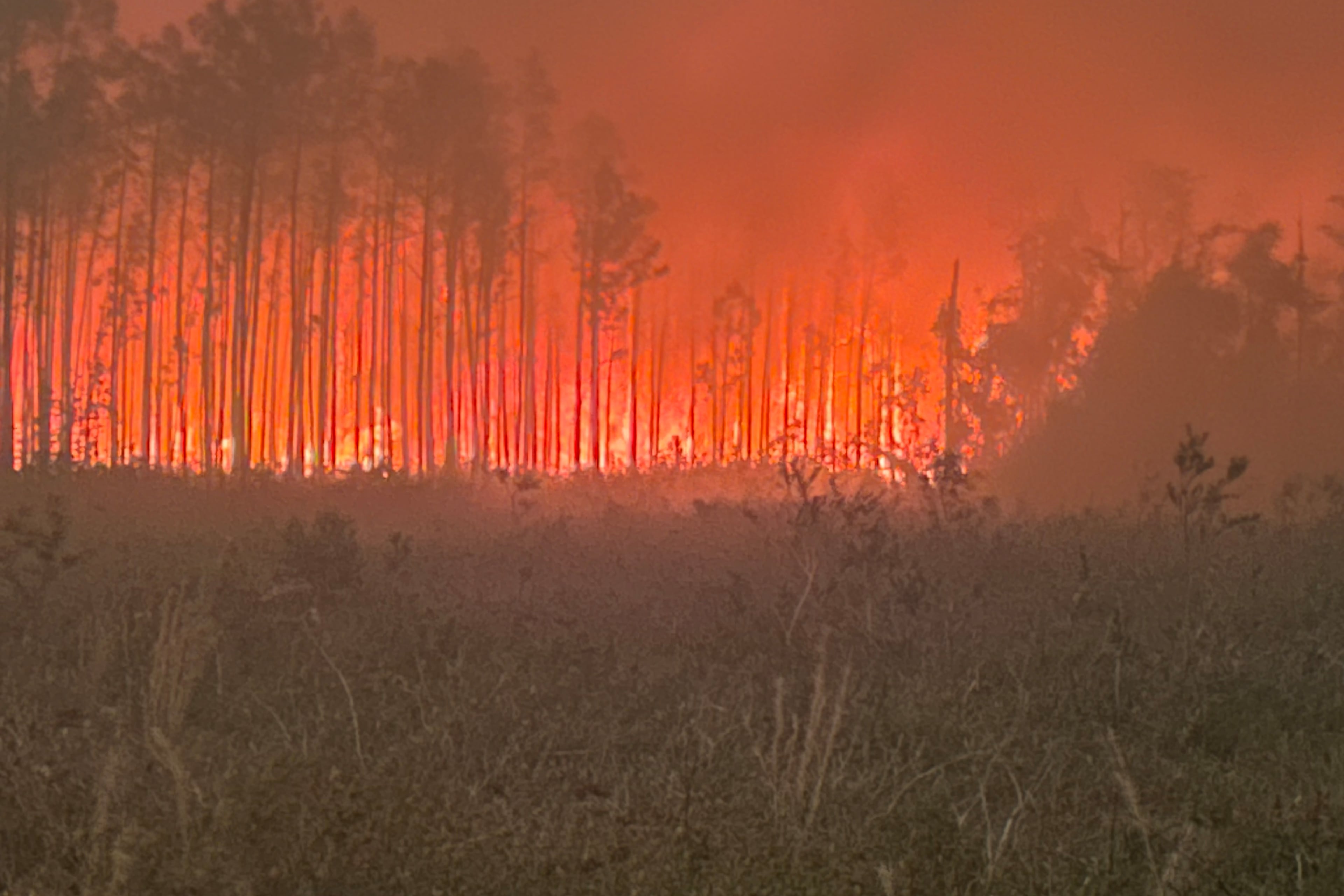 Pineland Road fire in southeast Georgia as seen on Saturday, April 25, 2026. (Georgia Forestry Commission)