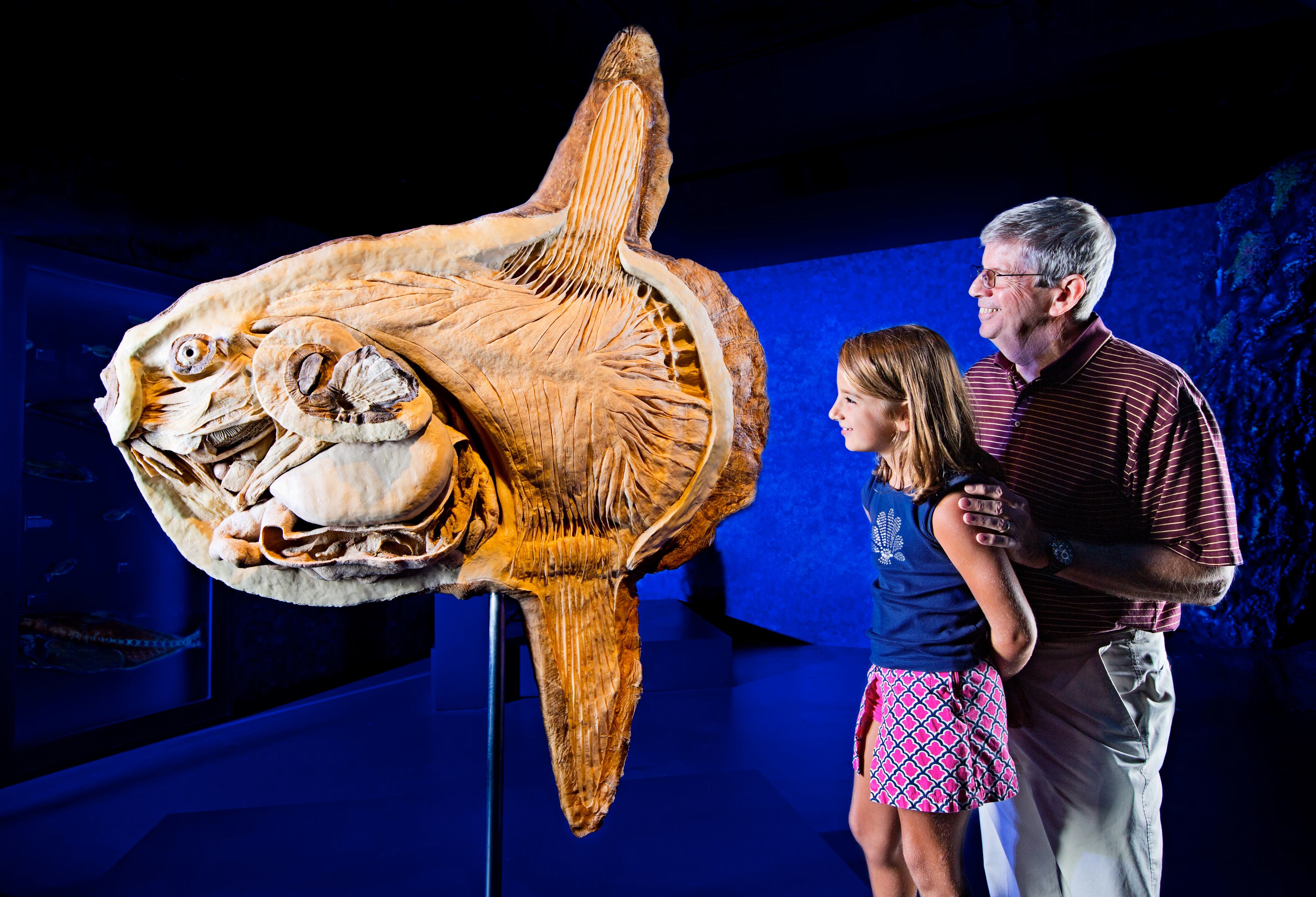 Part of the "Aquatic Bodies: Sea Monsters Revealed" exhibit, which opens at the Georgia Aquarium Wednesday, Oct. 2.