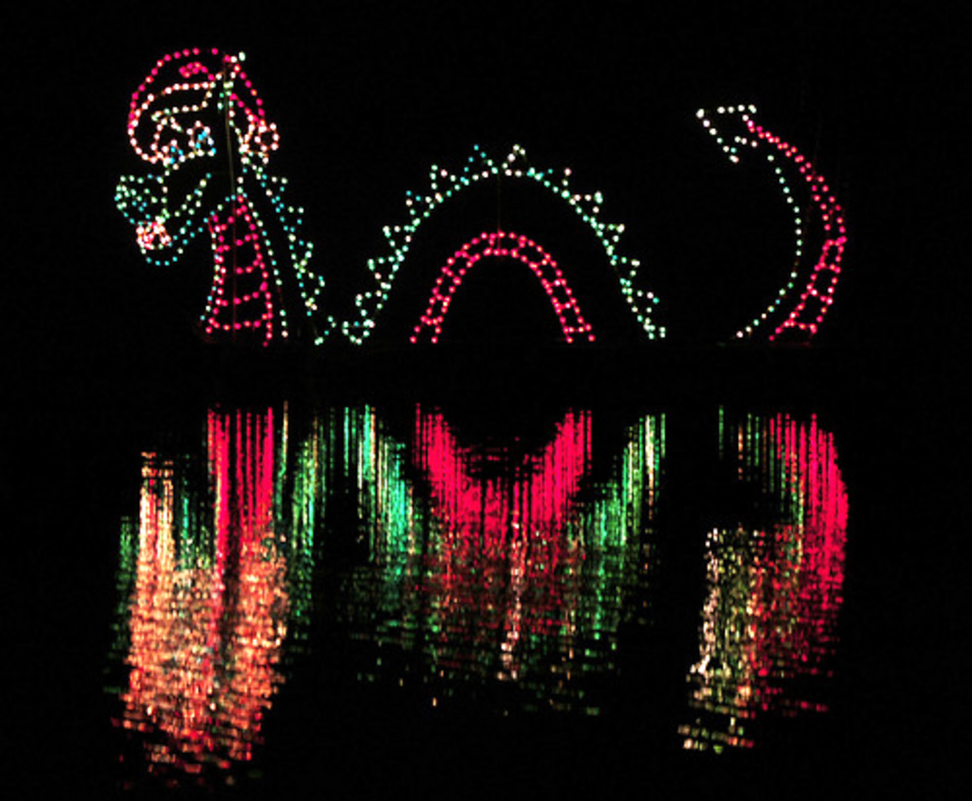 ...To a colorful dragon reflected in the campus lake.