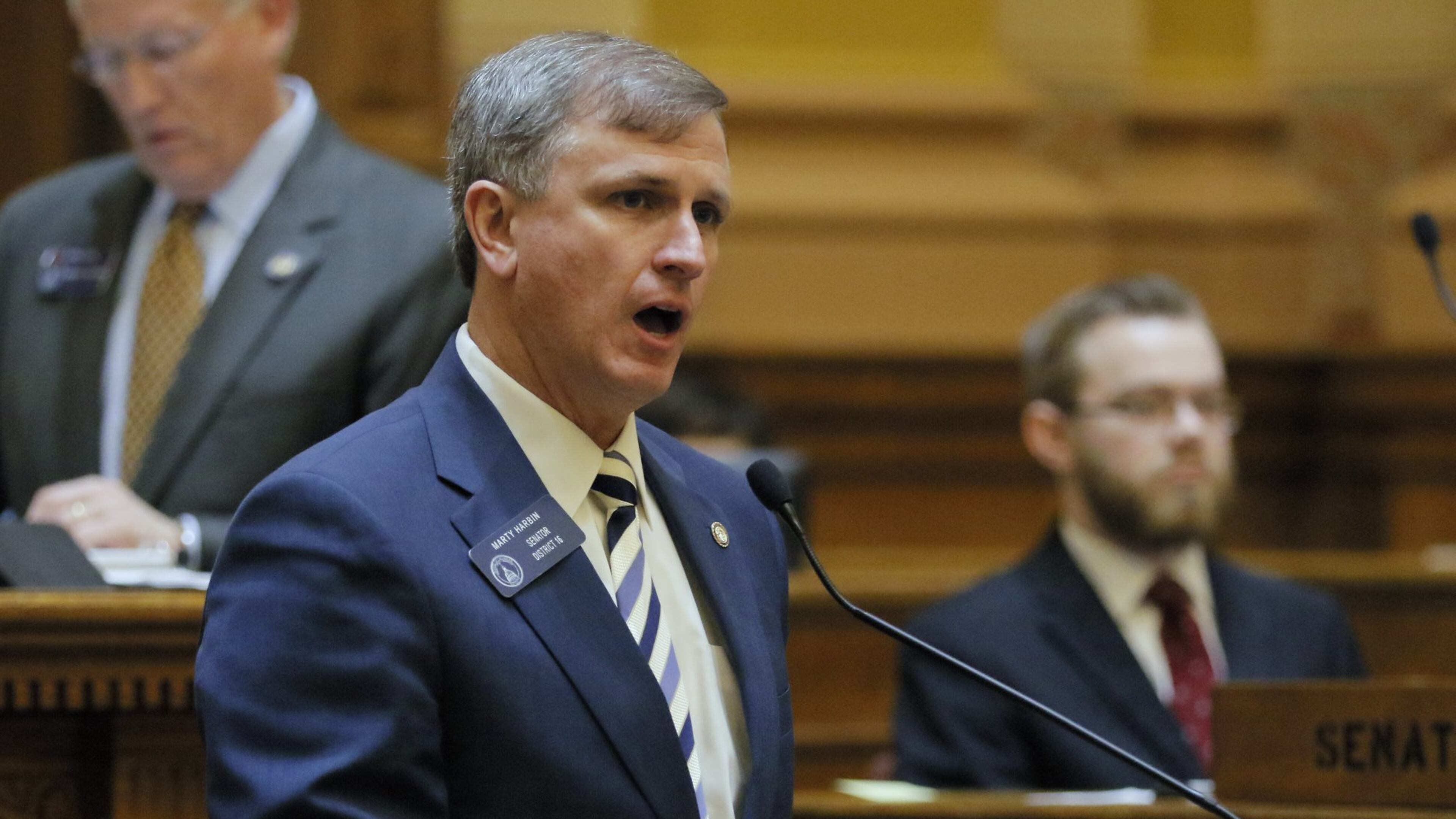 State Sen. Marty Harbin, R-Tyrone. BOB ANDRES /BANDRES@AJC.COM