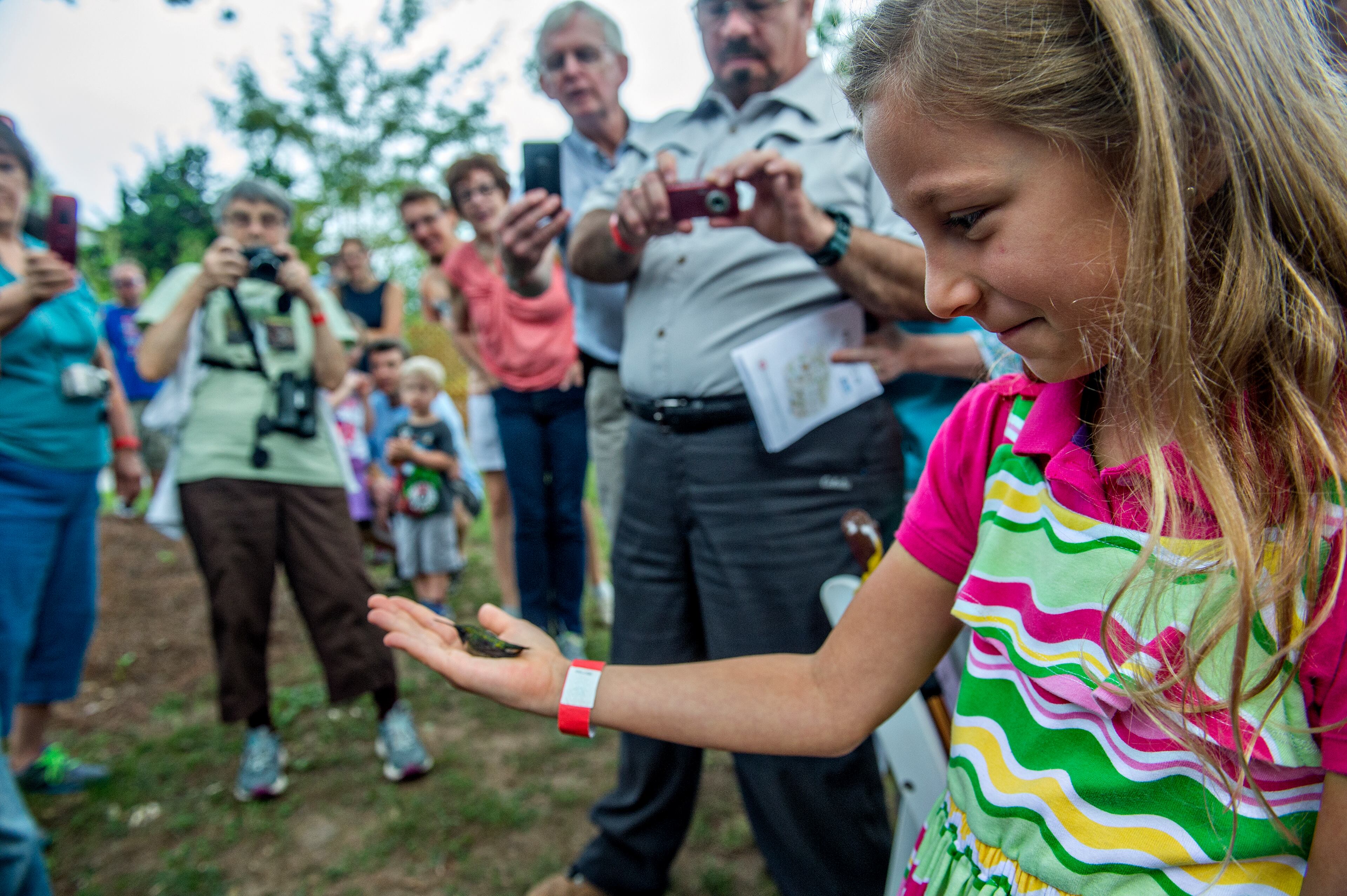 August 29, 2015 Kennesaw - Natalie Keszthelyi (right) helps release a hummingbird back into the wild during the Hummingbird Banding Festival at the Smith Gilbert Gardens in Kennesaw on Saturday, August 29, 2015. The fifth annual event helps identify hummingbirds as they migrate to Mexico while providing fun and education for people attending the event. JONATHAN PHILLIPS / SPECIAL