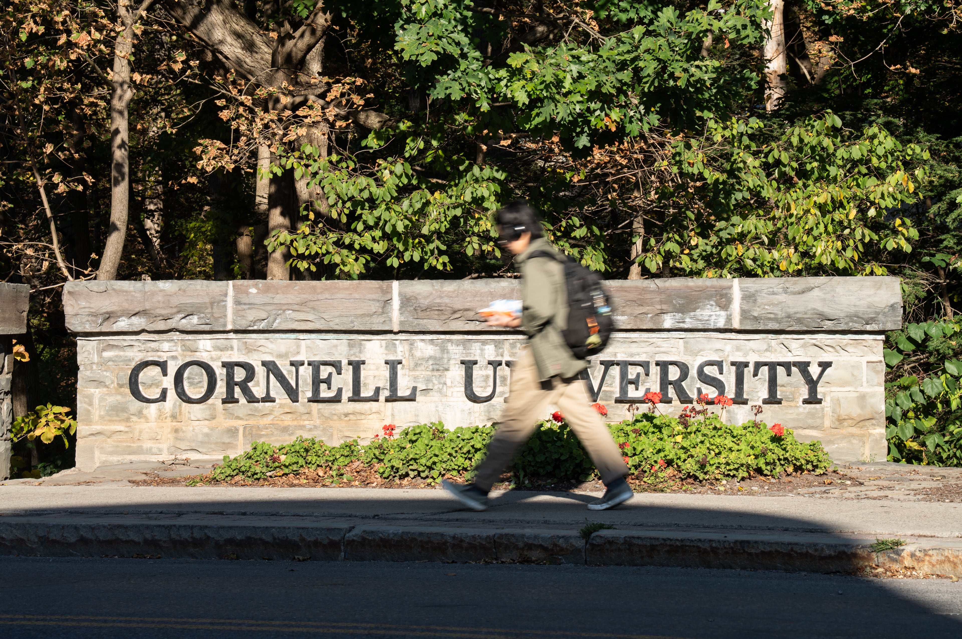 Cornell Investigation