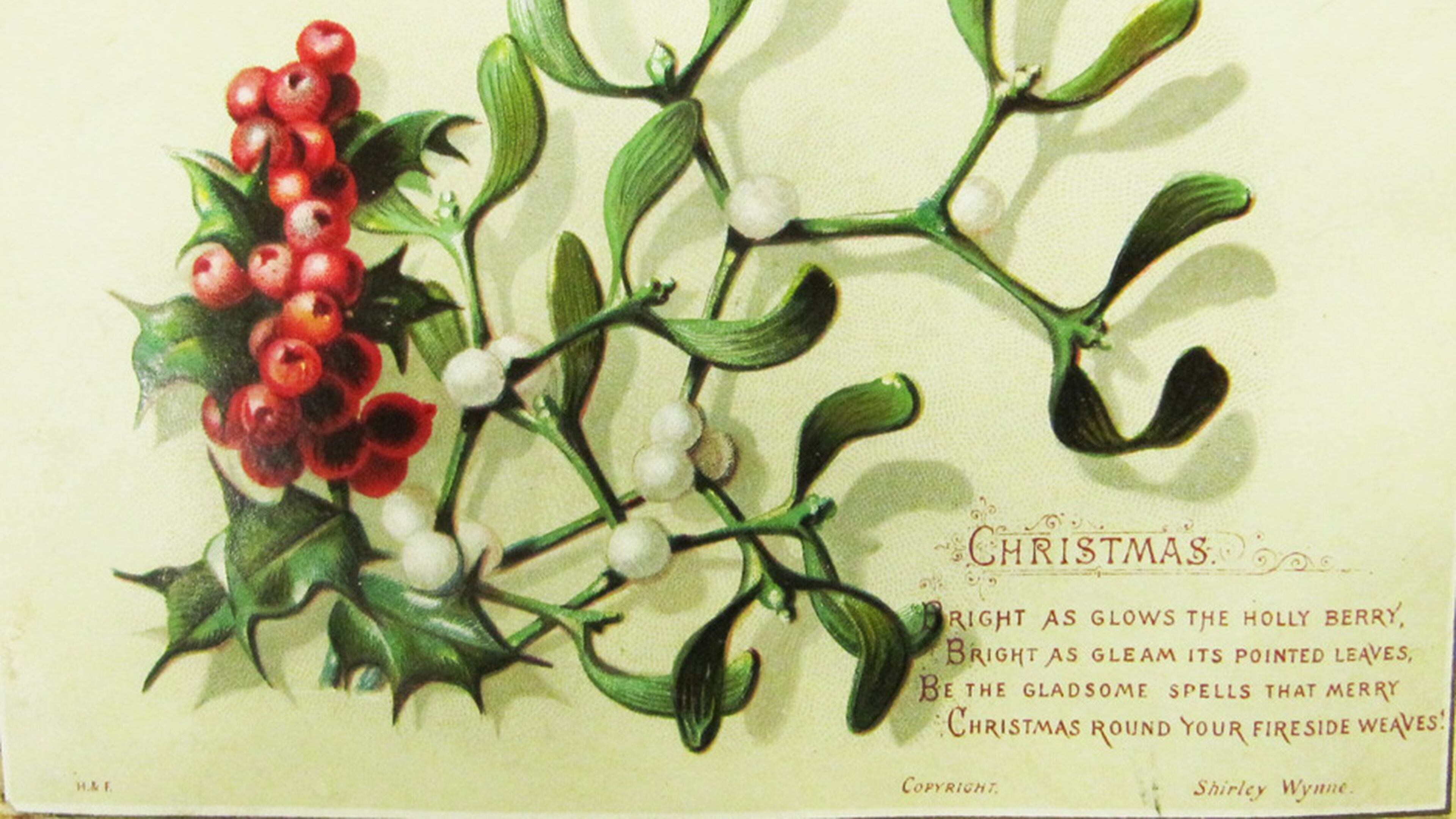 This is a circa 1880s holiday greeting card featuring sprigs of holly and mistletoe. Images of holly with red berries and shiny evergreen leaves also often adorn modern day greeting cards. CONTRIBUTED BY WIKIPEDIA/PUBLIC DOMAIN.