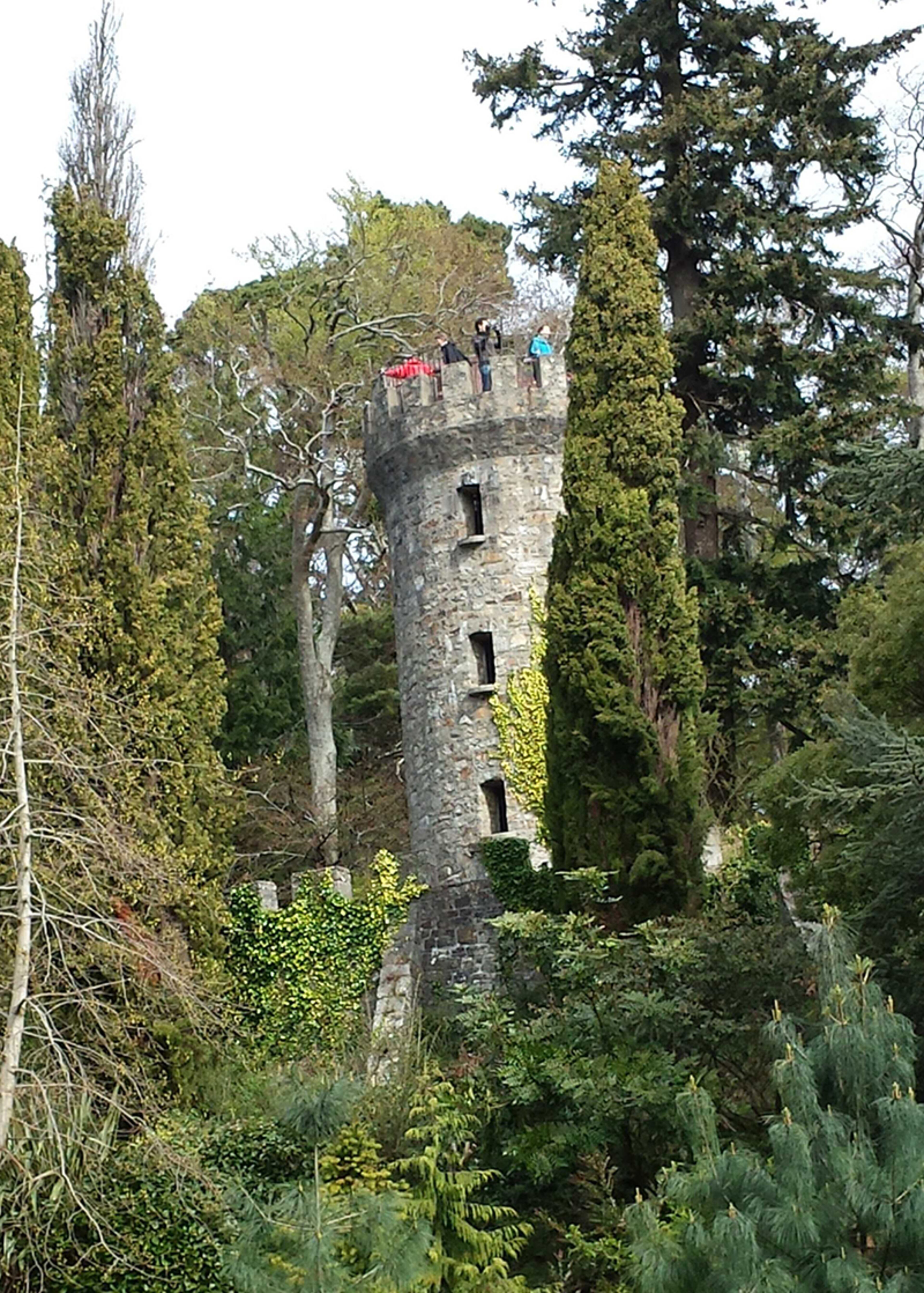 During a trip to Ireland, booked through Singles Travel International, we toured the gardens of various estates. Being part of a travel group means you have someone nearby to take your photo.