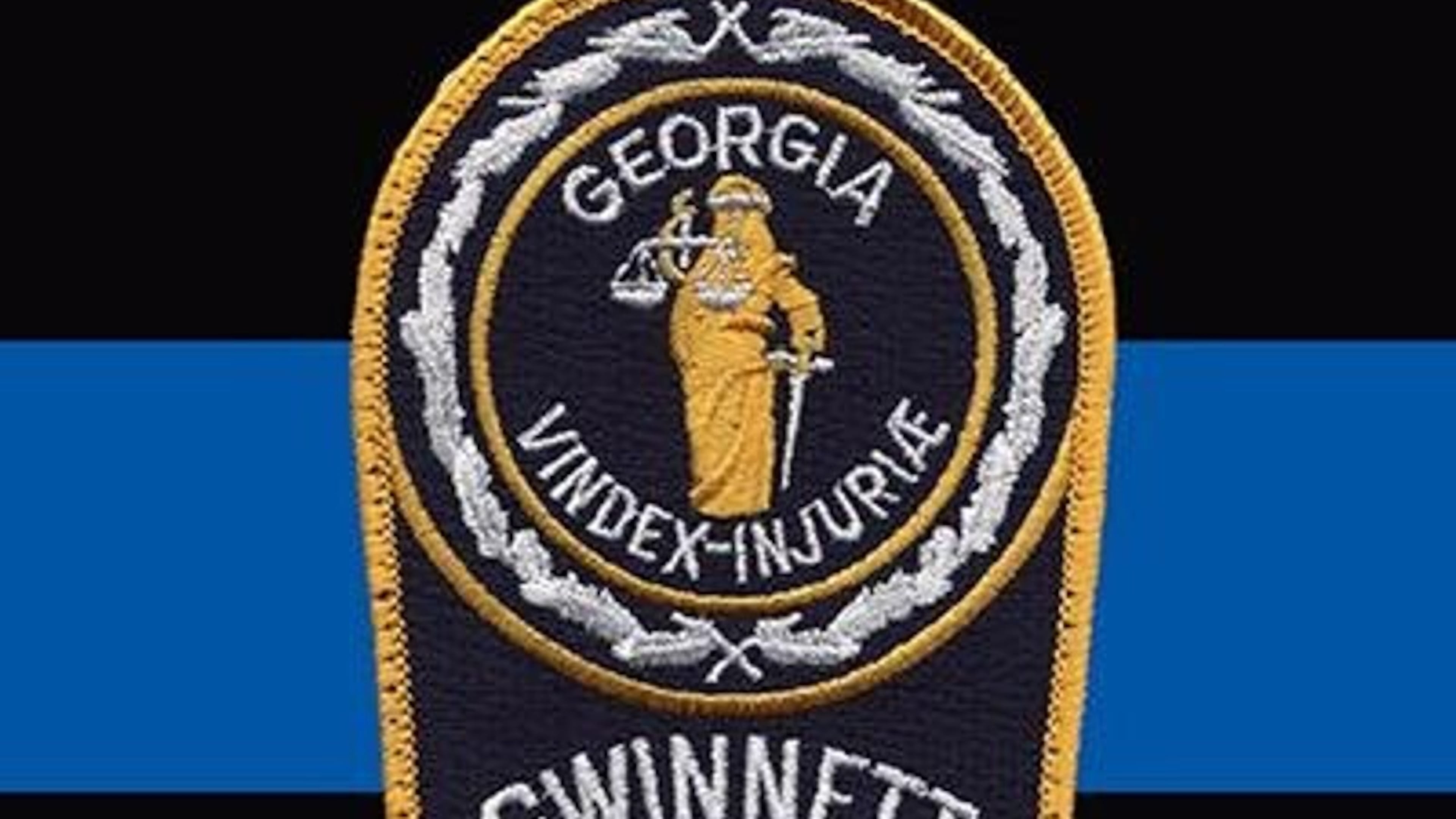 Gwinnett County police