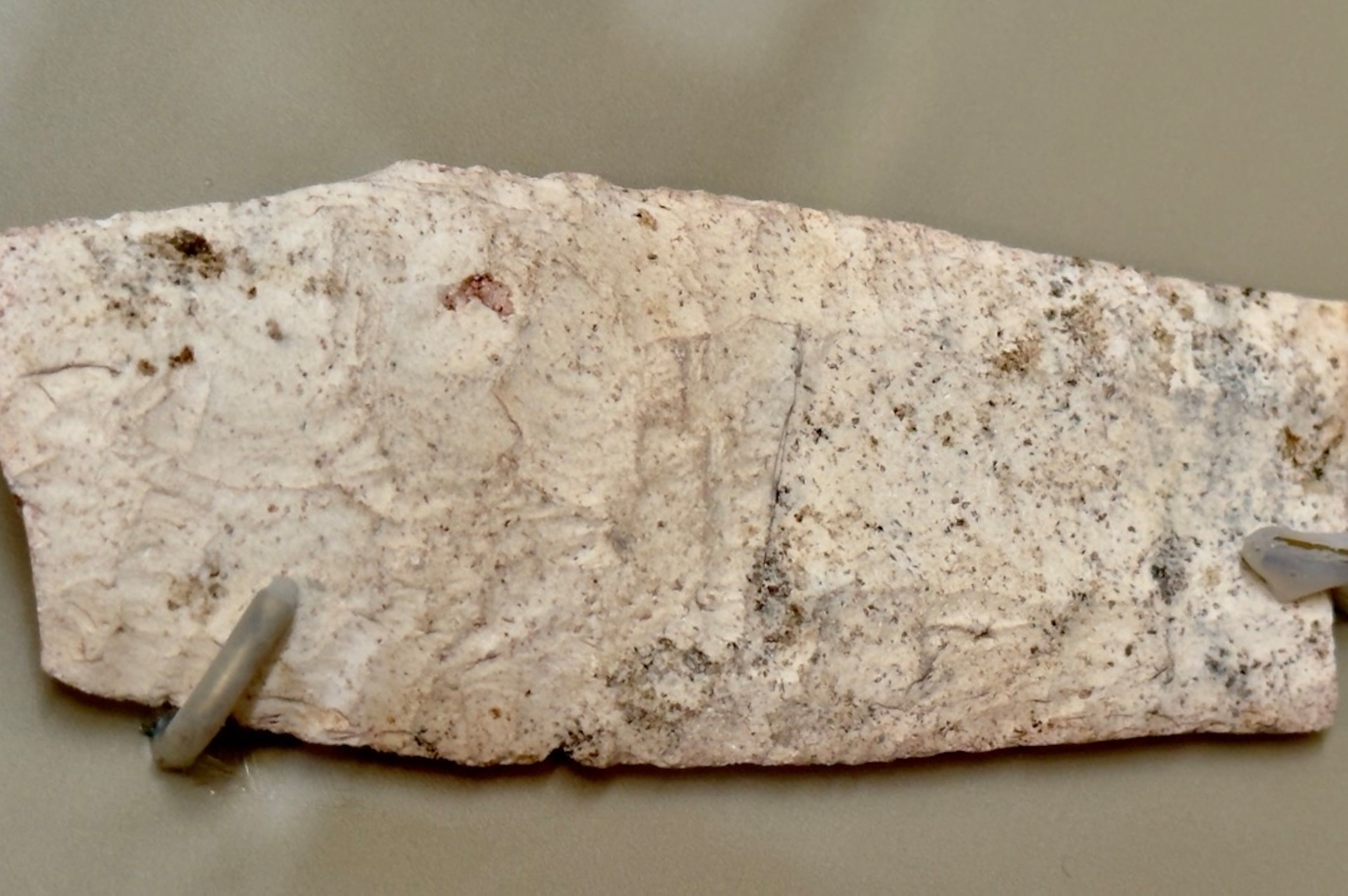 Clovis point spear tip at Macon mounds visitor center