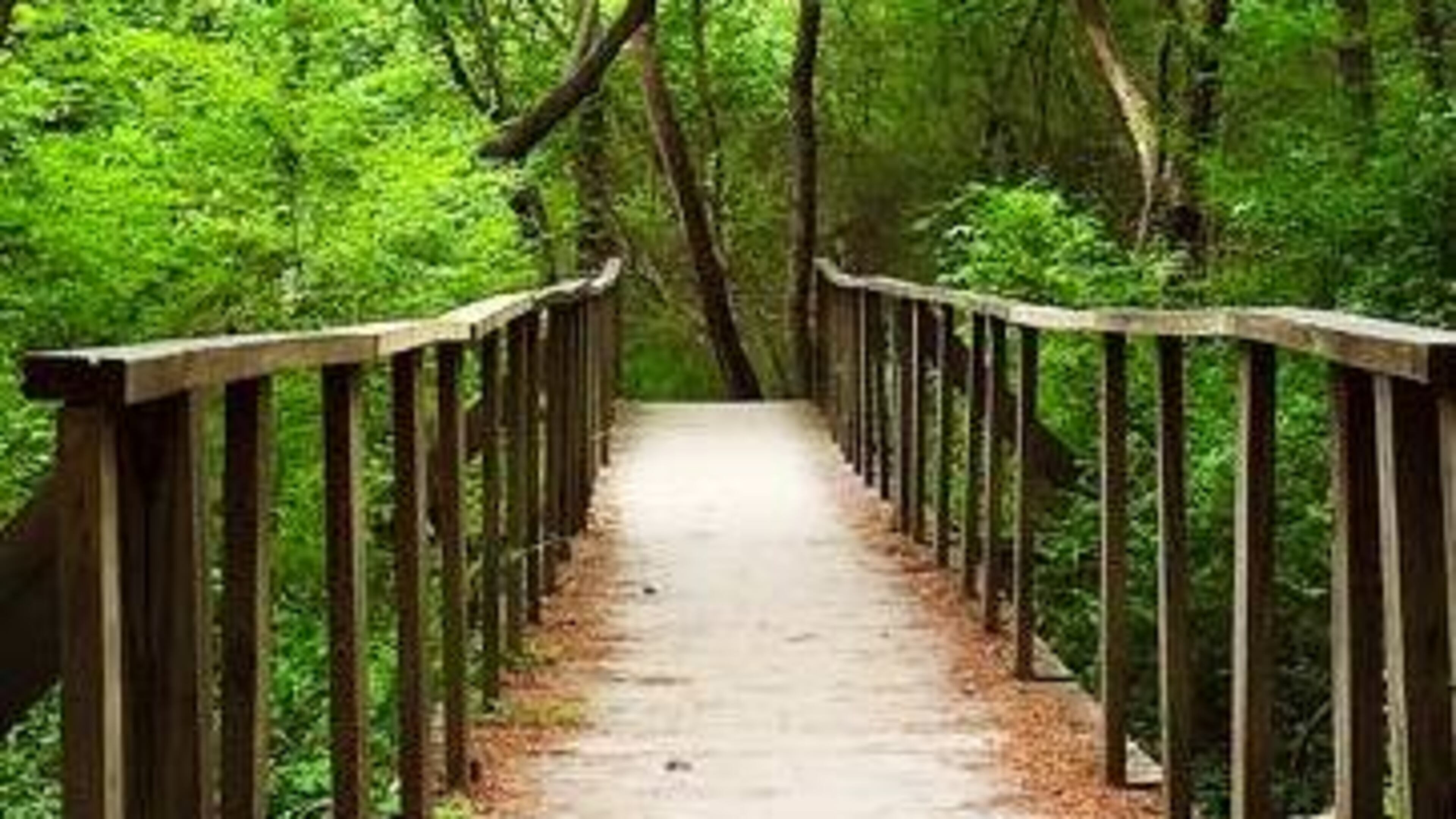 Murphey Candler Park Nature Trail is 2.2 miles in Brookhaven.