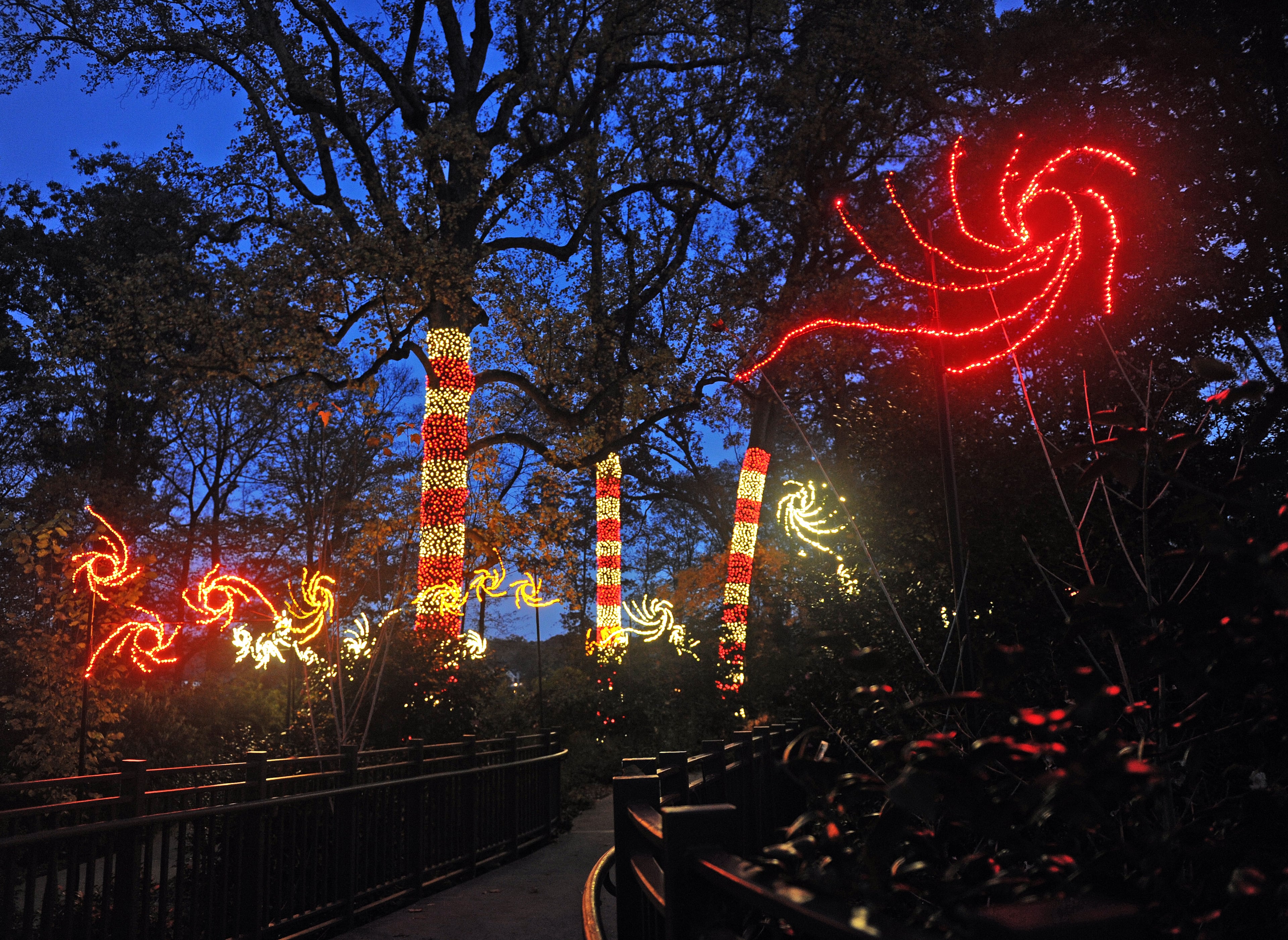 Inspired by the Van Gogh masterpiece, the Atlanta Botanical Garden's Starry Night walk sparkles with dozens of swirling stars. | Atlanta Holiday Light Displays | Holiday Events & Attractions