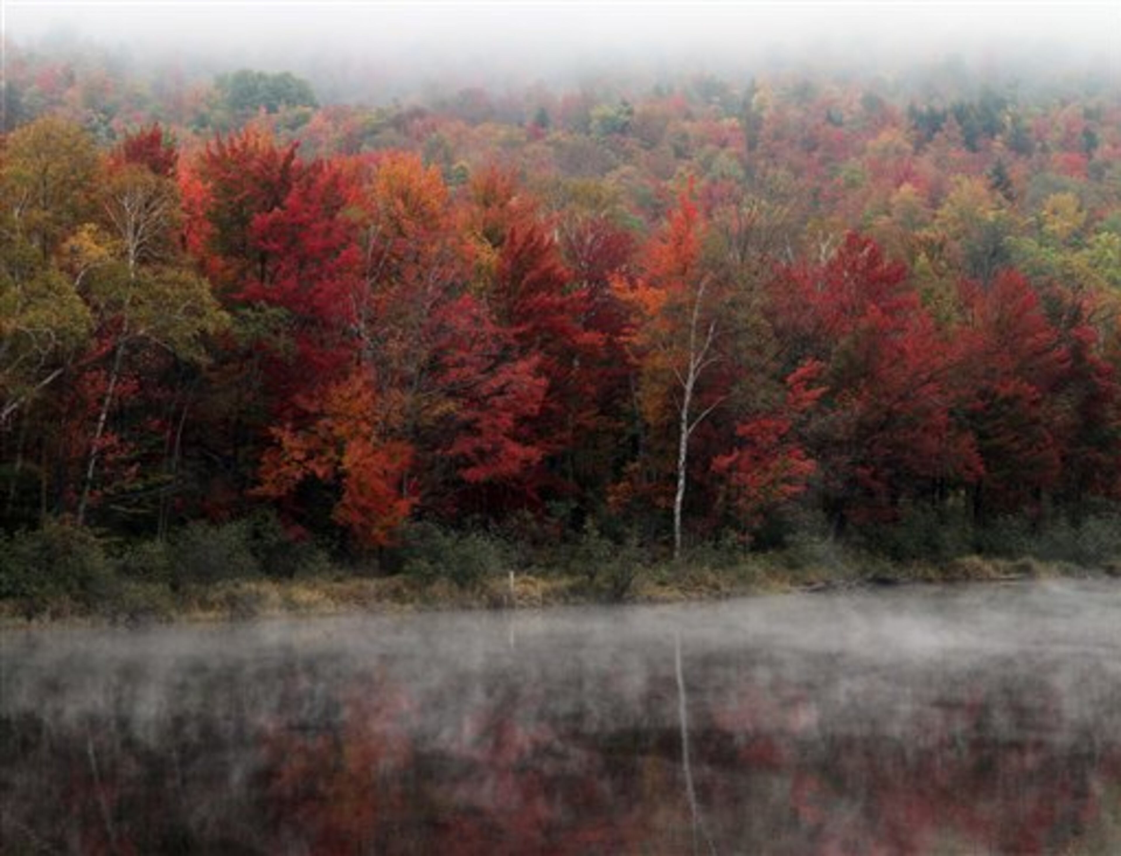 Leaves along the Androscoggin River are at peak color, Friday, Sept. 28, 2012 in Berlin, N.H. (AP Photo/Jim Cole)