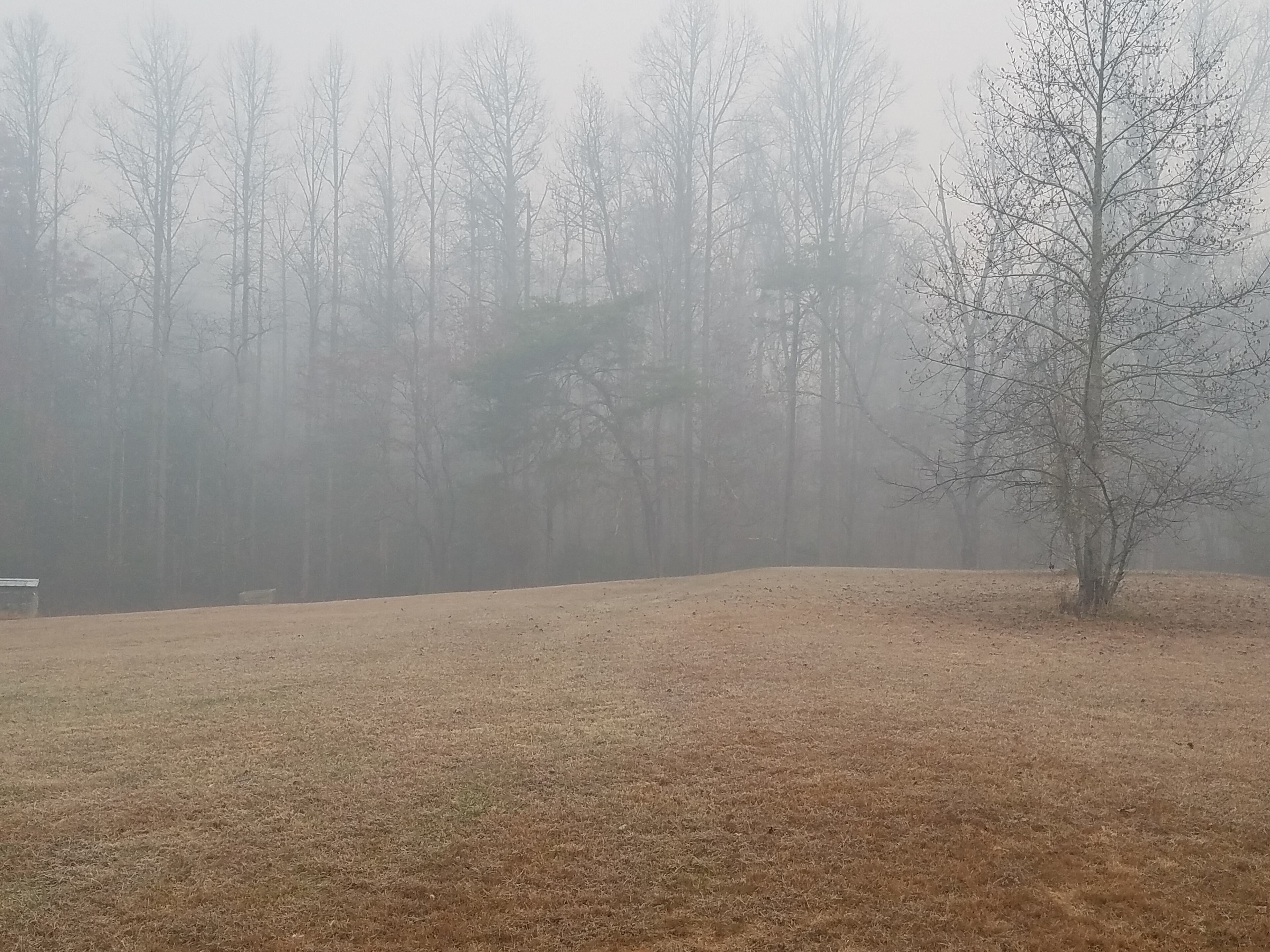 The Rough Ridge fire burned through thousands of acres of land in North Georgia by Monday. (Credit: Wyndle Bates)