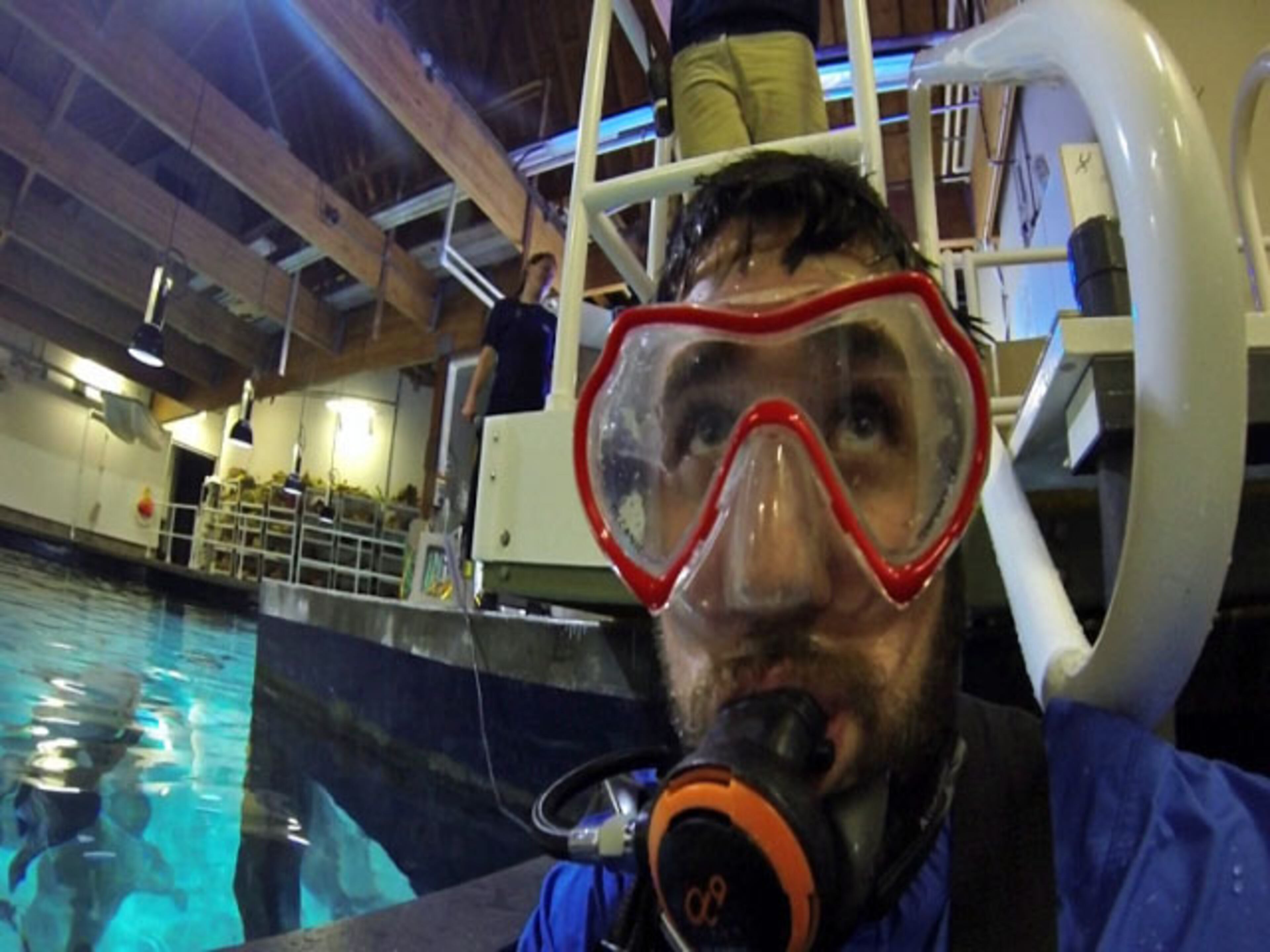 Kirotv.com web videographer Michael Fox went underwater with the tank full of sharks to experience the new exhibit that is set to open this week.