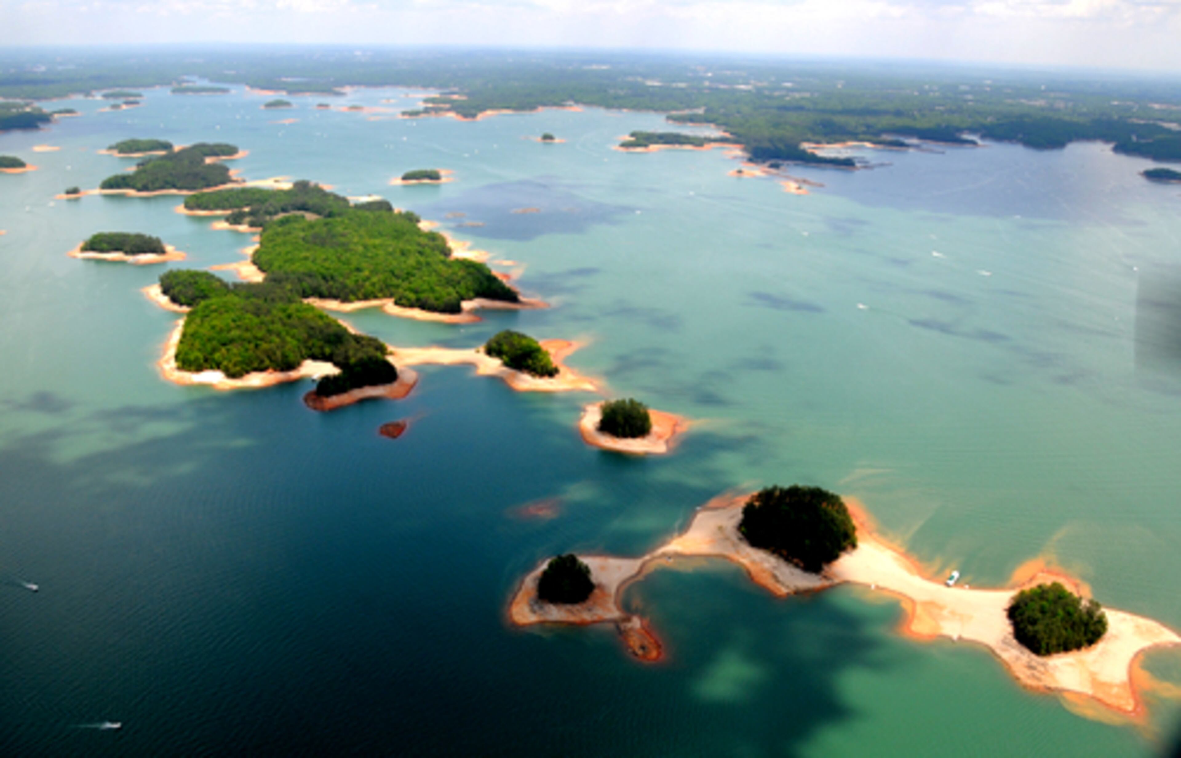 This view from the northwest looking toward the northeast shows three stands of trees that are normally separated by water in better times.
