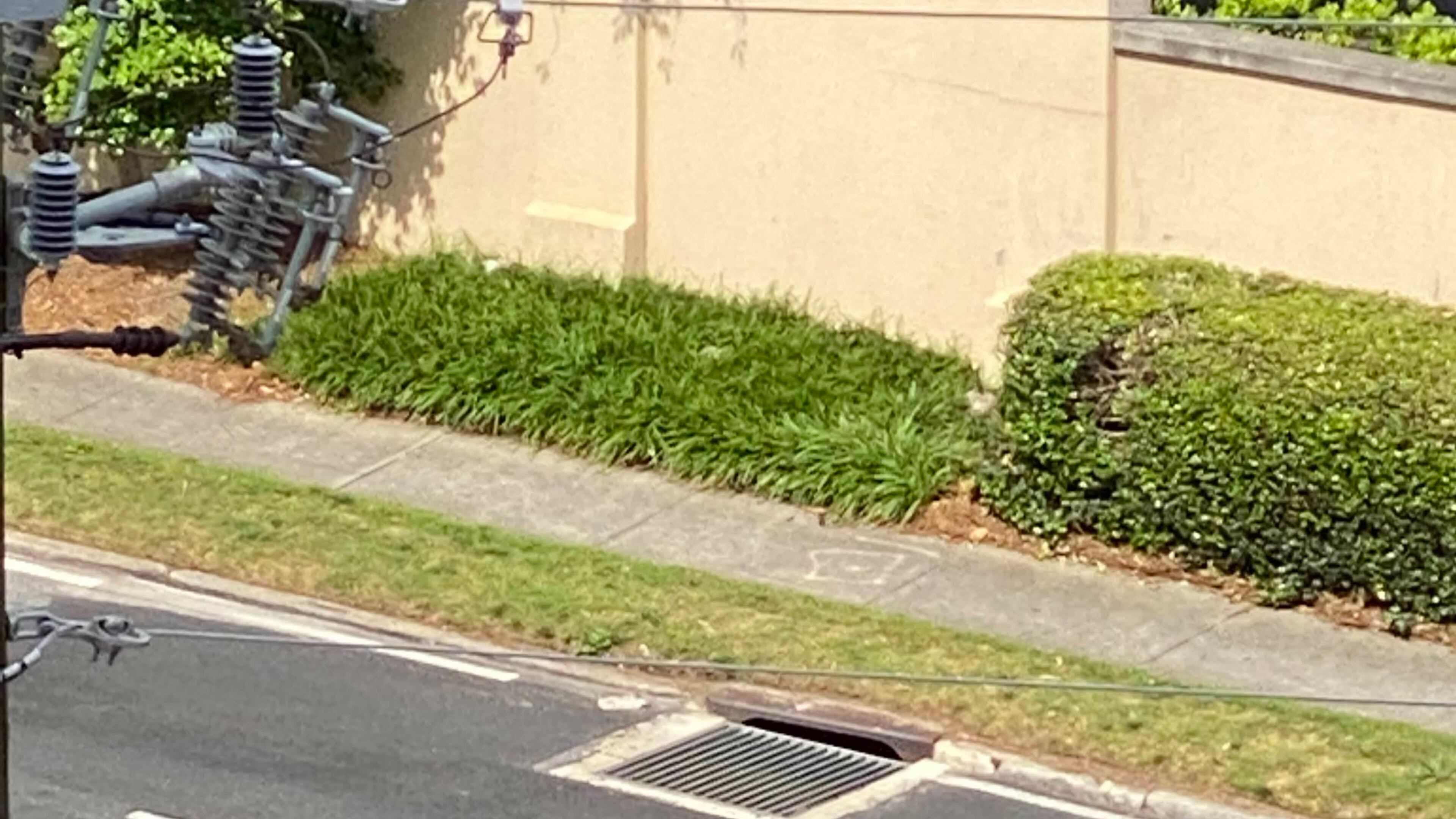 DOT spokesperson Natalie Dale said the department is working to fix this loose grate.