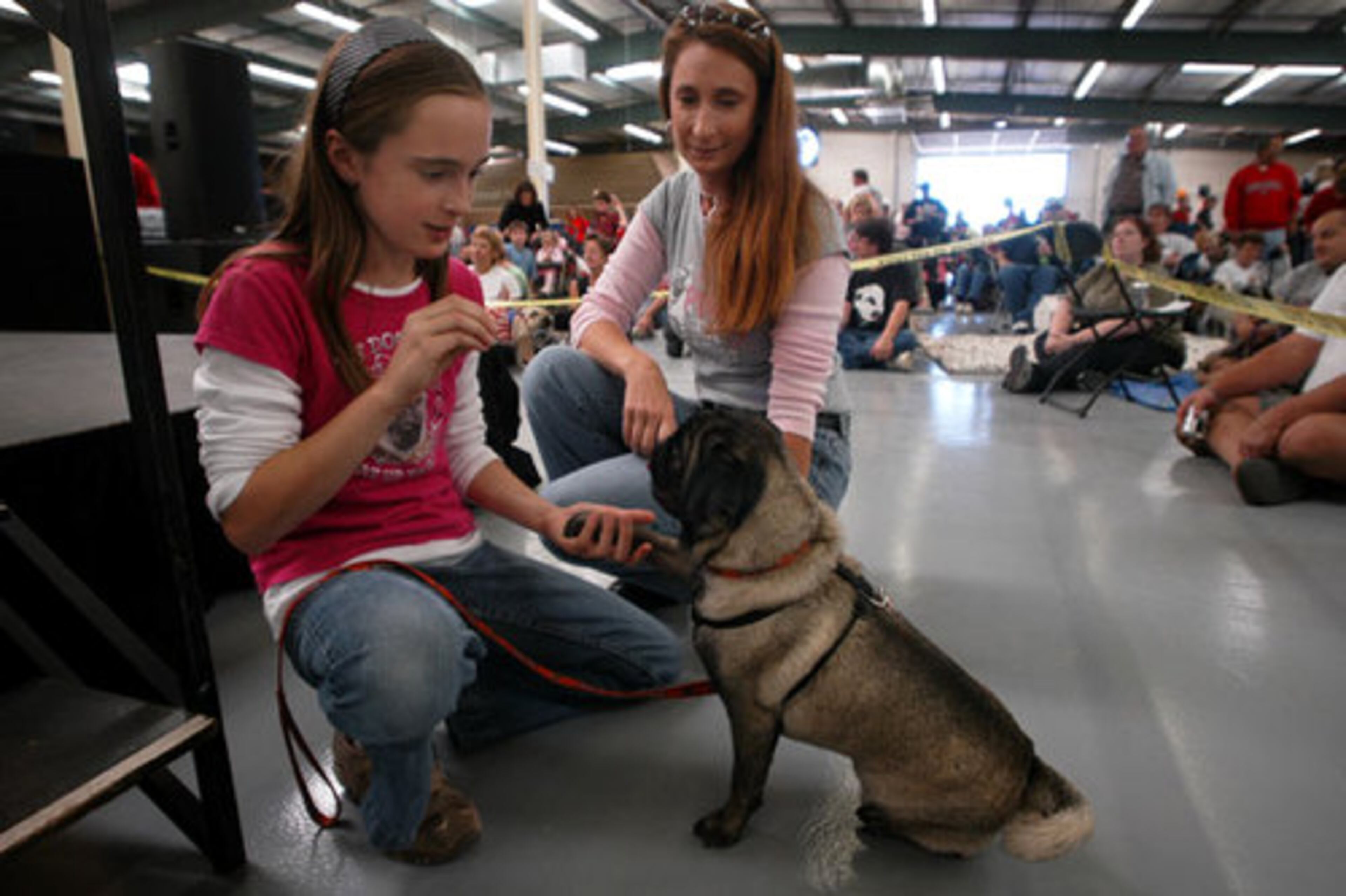 Melissa Weller of Kennesaw watches her daughter, Brittany Weller, 11, practice hand-shakes with their two-year-old pug Carlos Santana.