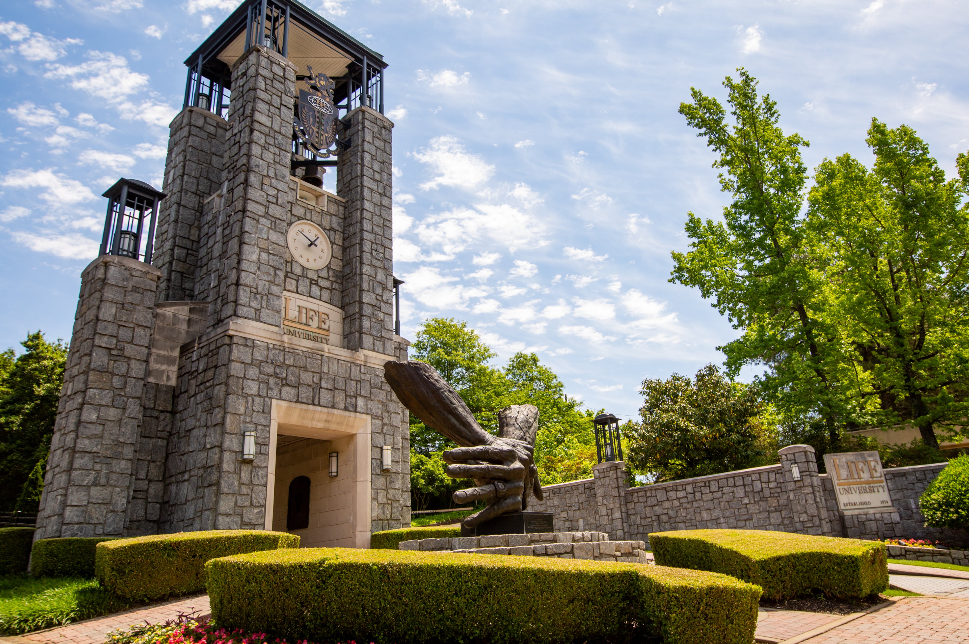 life university