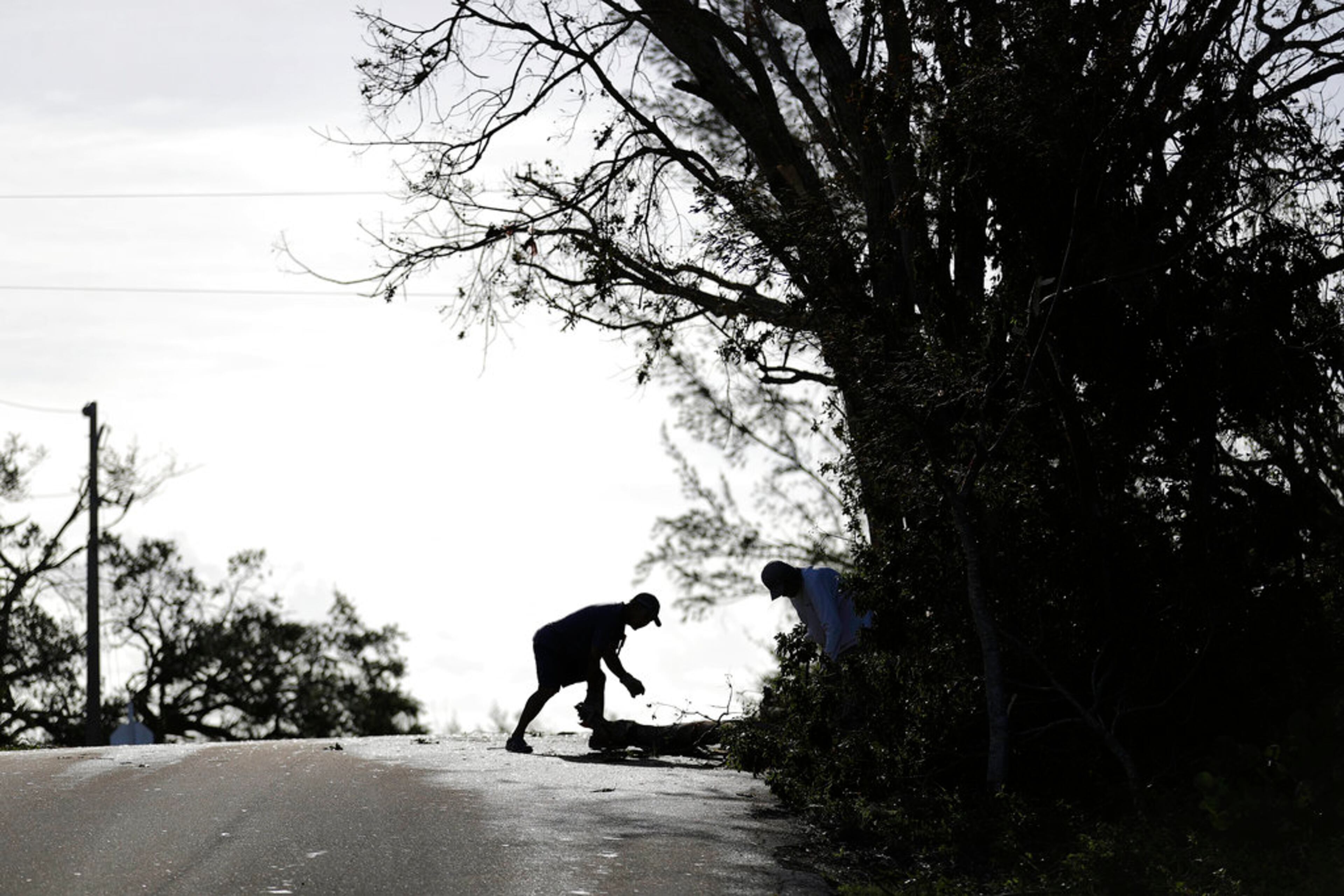 Residents clear debris off the road from Hurricane Irma in Marco Island, Fla., Monday, Sept. 11, 2017. (AP Photo/David Goldman)