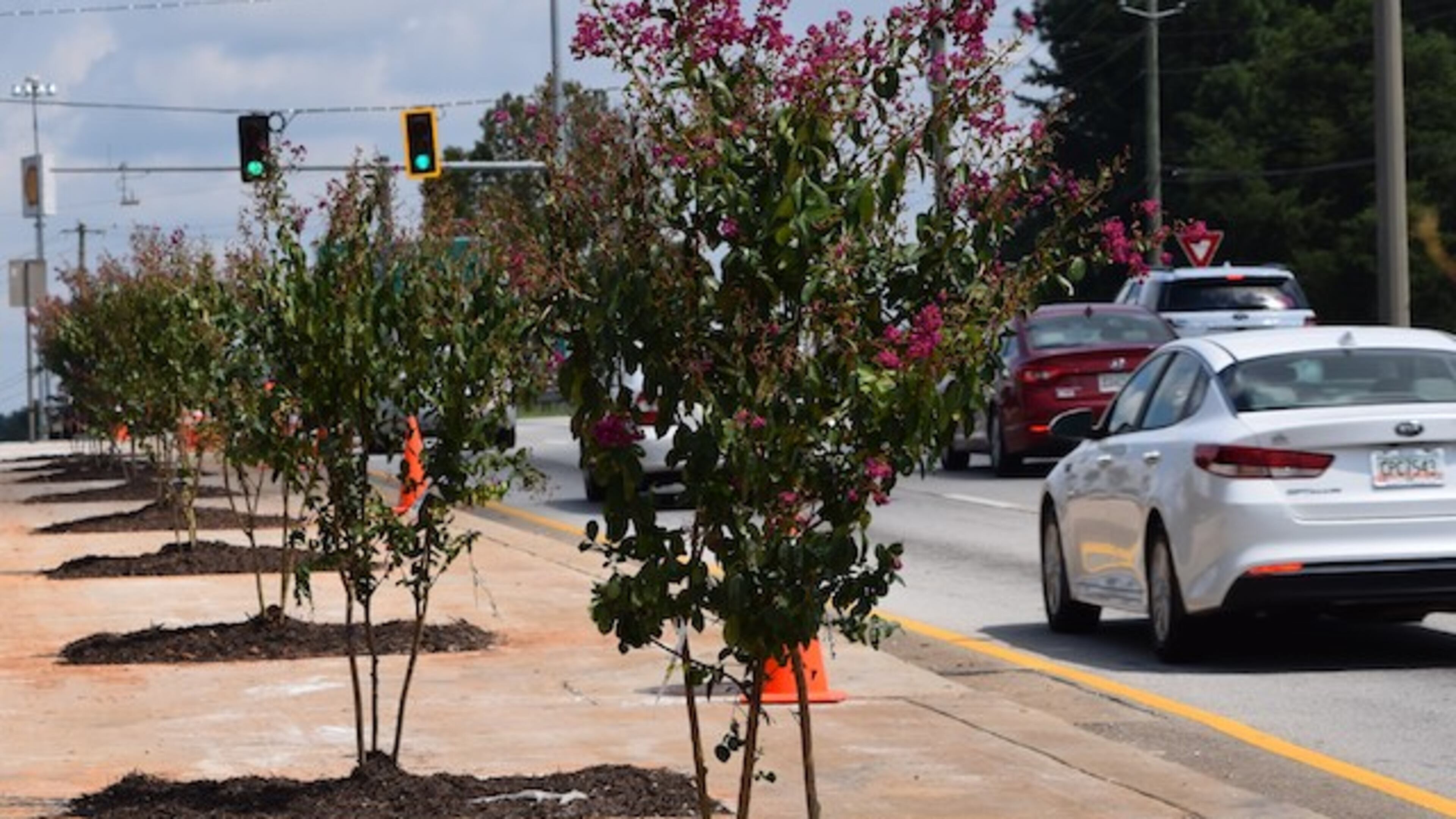 Crepe Myrtle trees were installed along Jonesboro Rd. near I-75 as the initial phase of beautification efforts along the corridor.