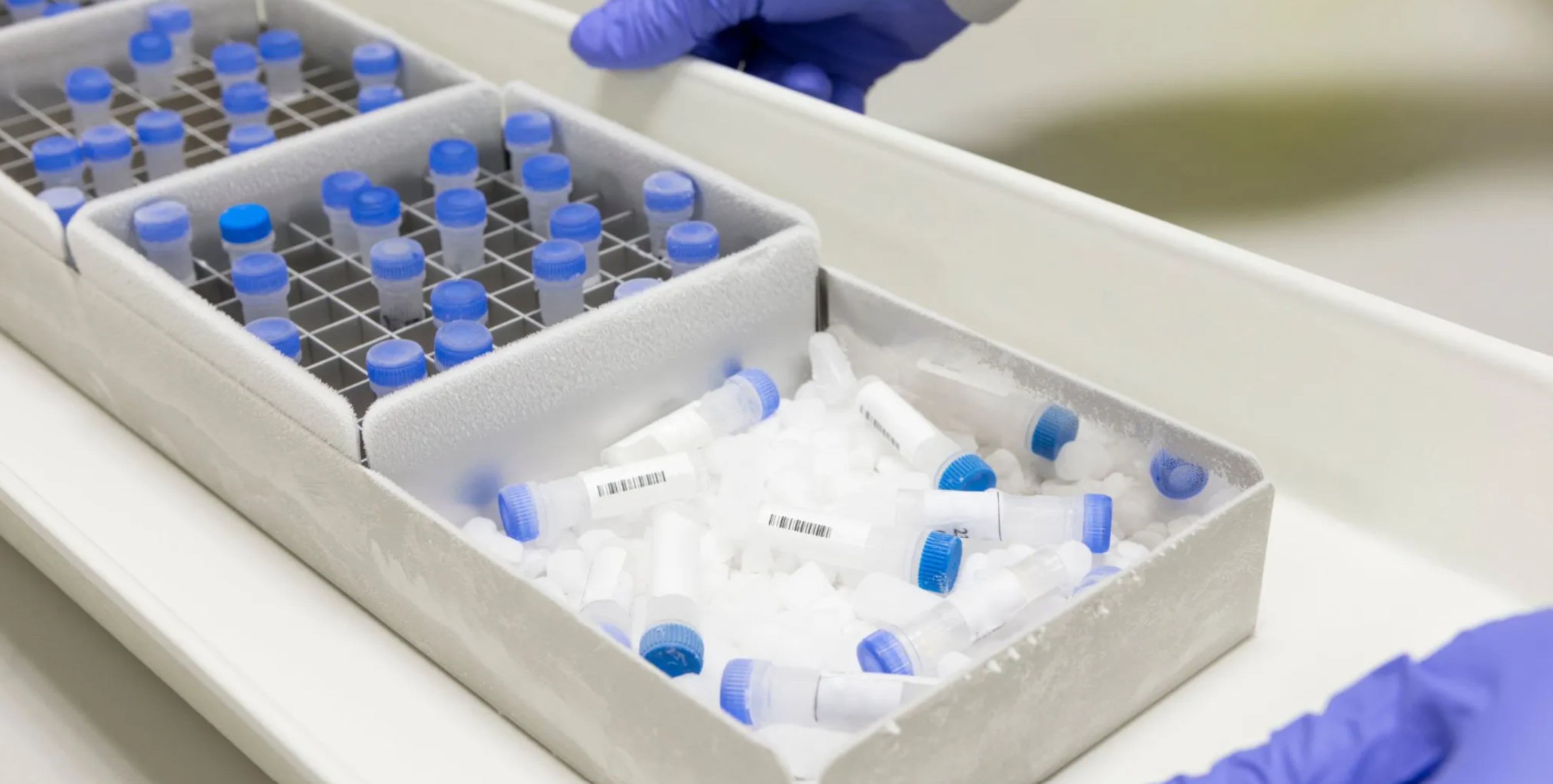 BioTouch, a company that manufactures medical testing kits, announced an expansion to its Columbus operations in December 2025. This is a courtesy photo of BioTouch's sample collection products. (Courtesy of BioTouch)