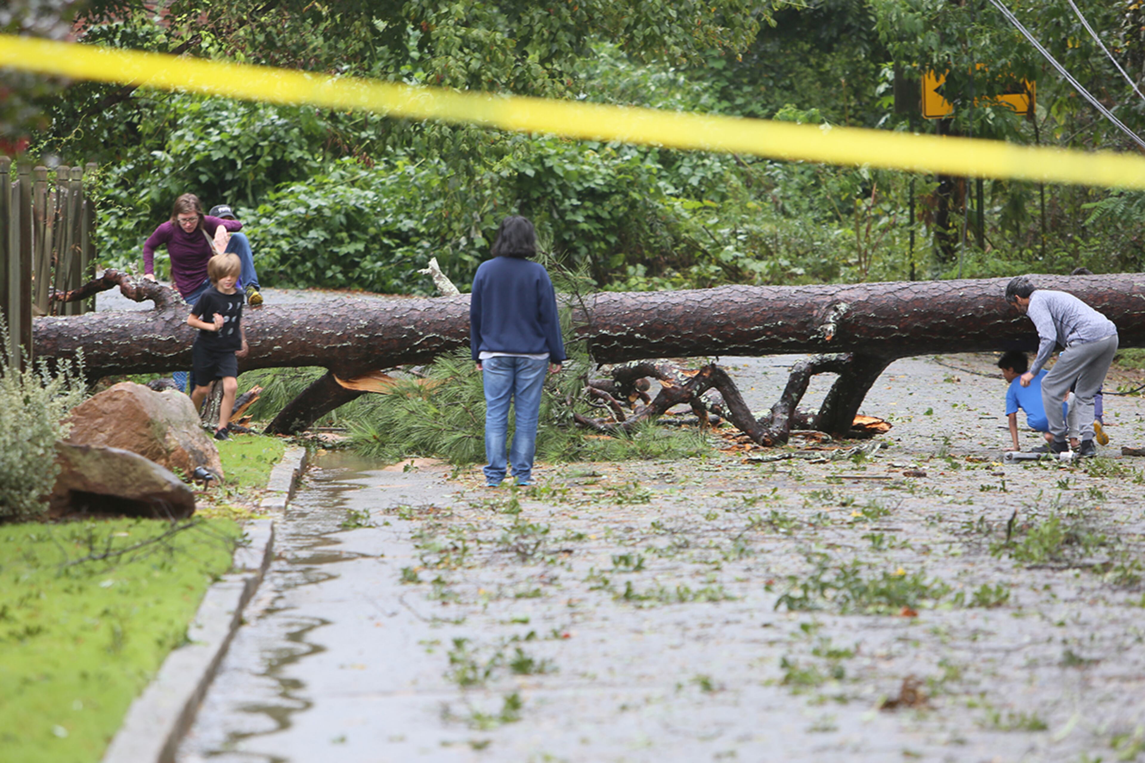 September,12 , 2017-Atlanta- People jumped a fallen tree on First Ave. in Kirkwood neighborhood, earlier fire fighters arrived to the scene due to a gas leak in Dekalb County. (Miguel Martinez / MundoHispanico)